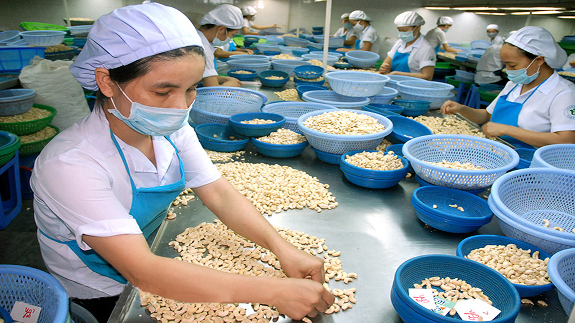 Hạt điều là một trong những nông sản Việt Nam xuất khẩu sang thị trường Trung Đông.