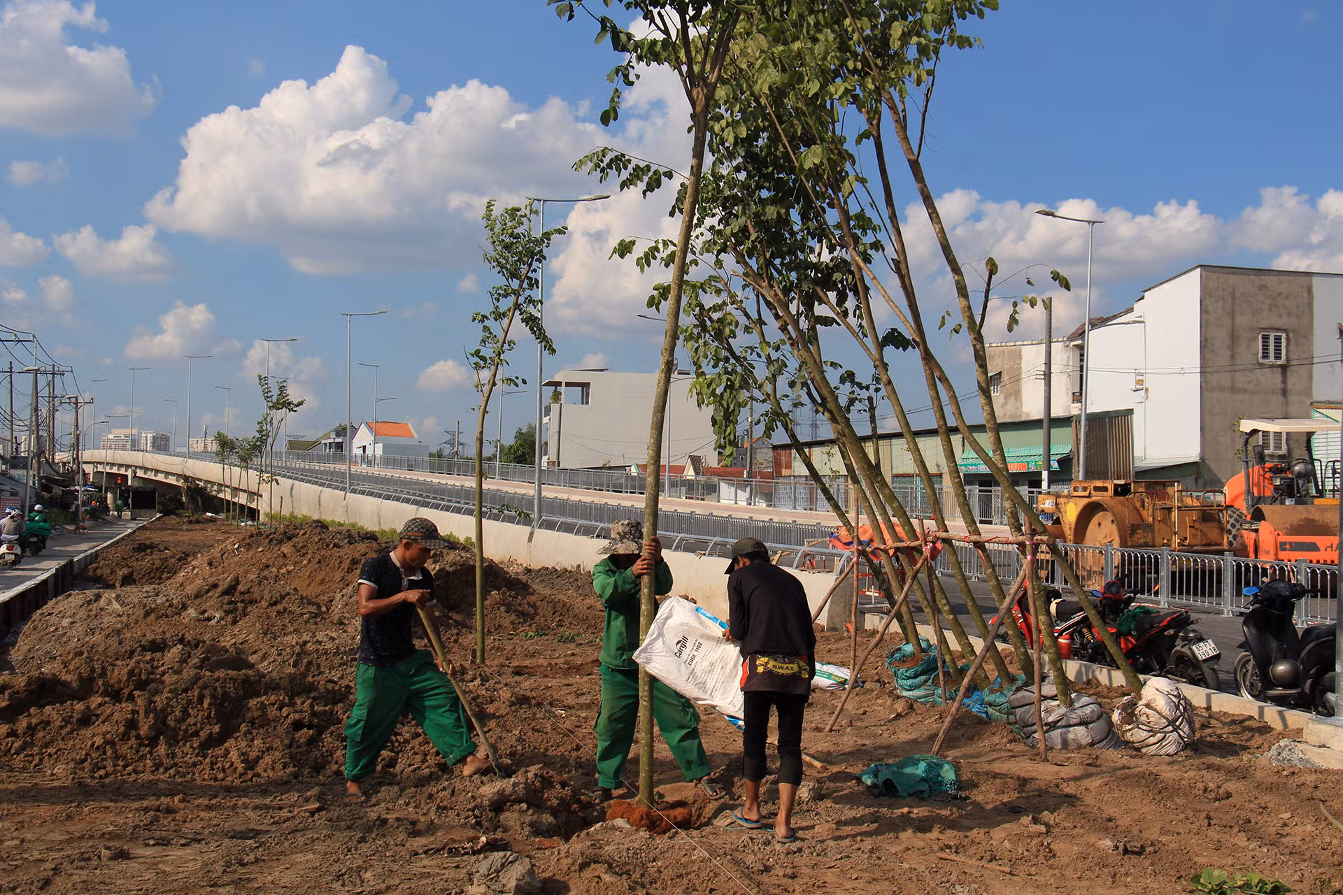 Nhà thầu đang đẩy nhanh thi công hạng mục trồng cây xanh.