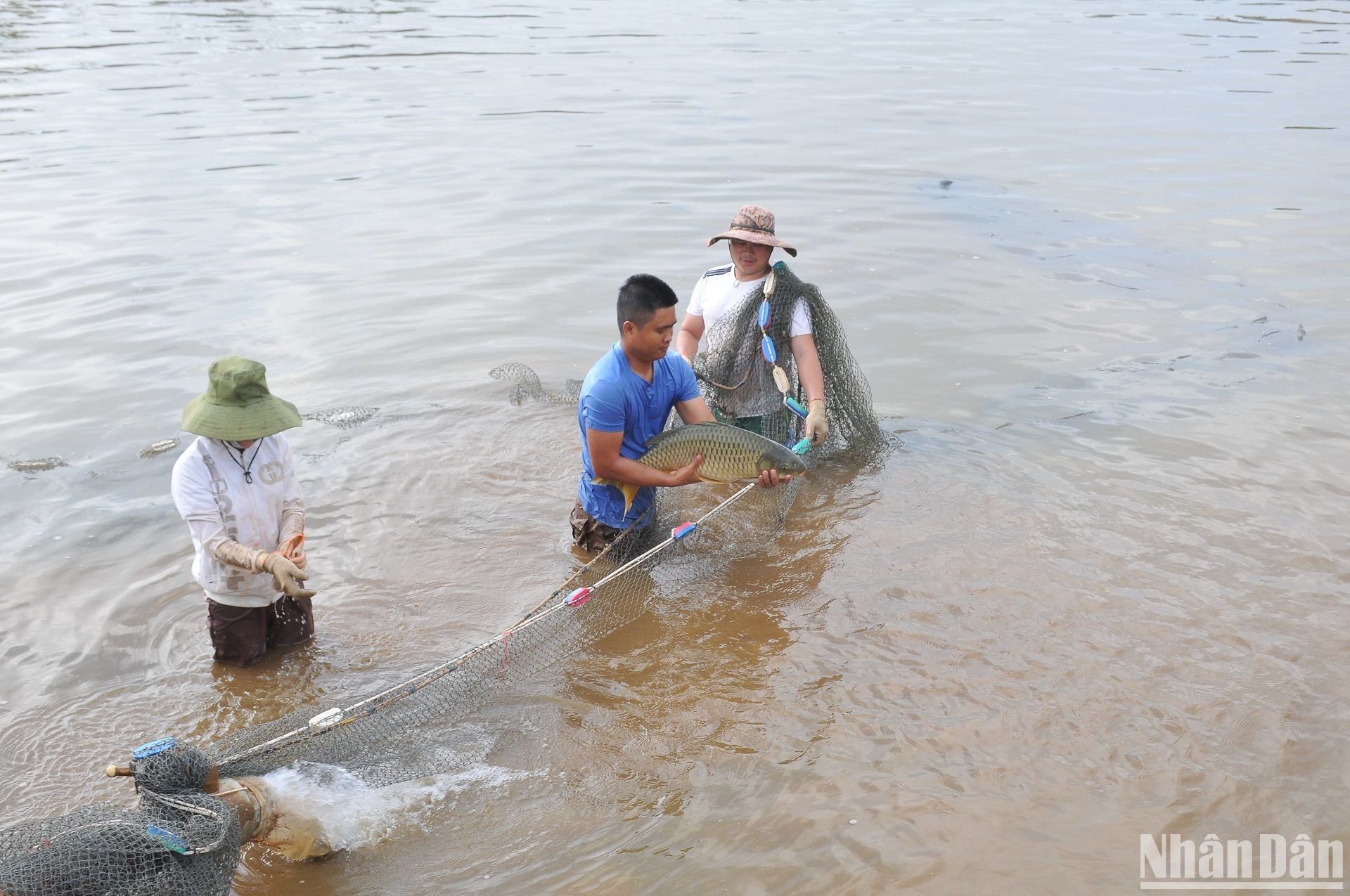 Mô hình nuôi cá của Hội Nông dân huyện Krông Nô cho thu nhập cao, giúp nhiều nông dân thoát nghèo.