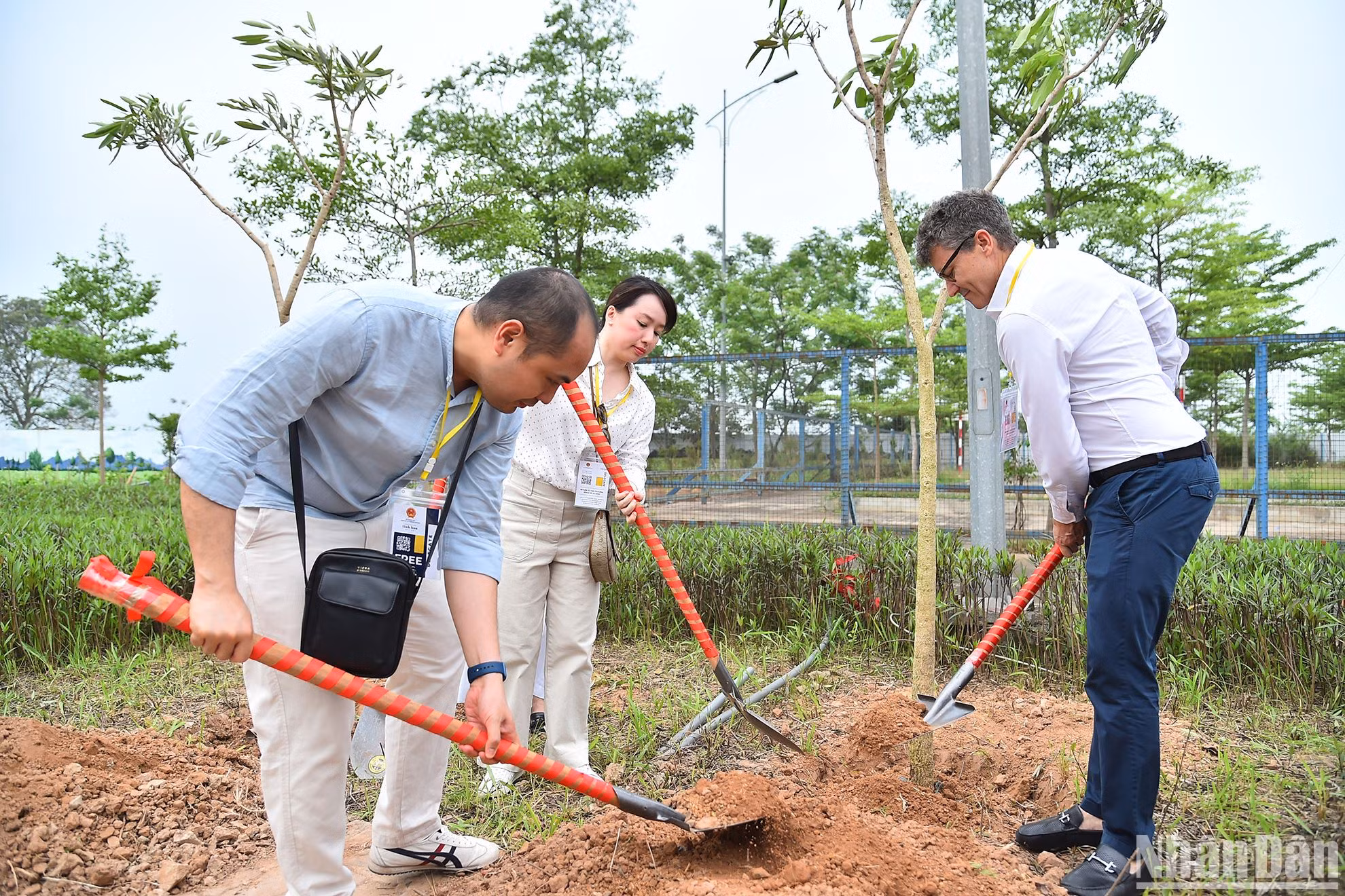 Các đại biểu thực hiện nghi thức trồng cây chuông vàng tại chương trình.