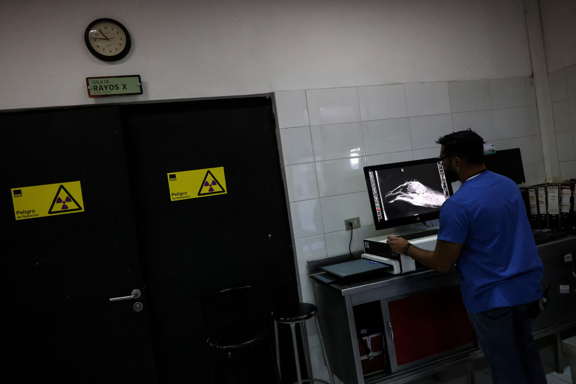 Bác sĩ thú y Andres Ramírez kiểm tra hình ảnh X-quang của chú kền kền khoang cổ bị bắn. Ảnh chụp ngày12/7. Nguồn: Reuters. Bác sĩ thú y Andres Ramírez kiểm tra hình ảnh X-quang của chú kền kền khoang cổ bị bắn. Ảnh chụp ngày12/7. Nguồn: Reuters.