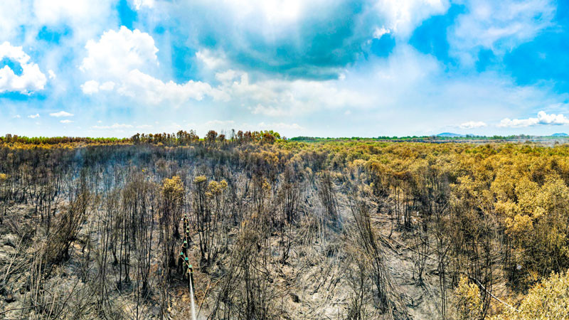 Với quyết tâm cao nhất, đám cháy đã được khống chế hoàn toàn.