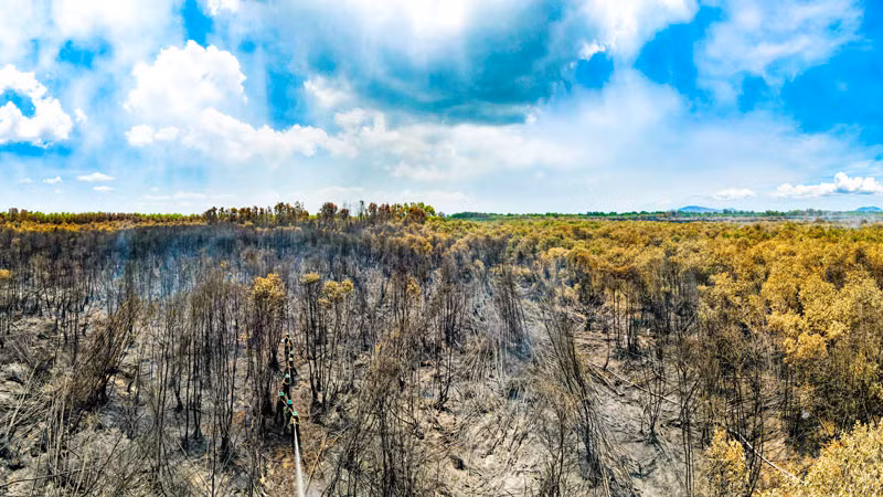 Với quyết tâm cao nhất, đám cháy đã được khống chế hoàn toàn.