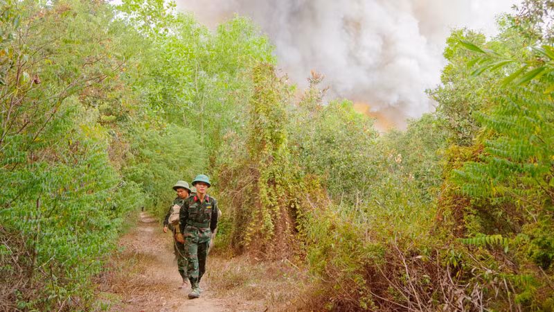 Ngay sau khi xuất hiện đám cháy lớn, Bộ Chỉ huy quân sự tỉnh Kiên Giang đã điều động gần 200 cán bộ, chiến sĩ thuộc cơ quan Bộ Chỉ huy quân sự tỉnh, Trung đoàn 893, Ban Chỉ huy quân sự huyện Hòn Đất, Ban Chỉ huy quân sự Giang Thành nhanh chóng cơ động đến hiện trường.