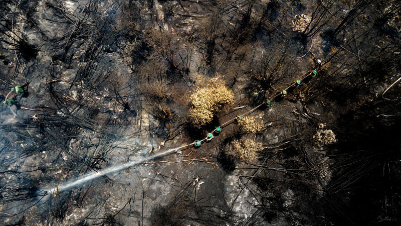 Các lực lượng tham gia chữa cháy.