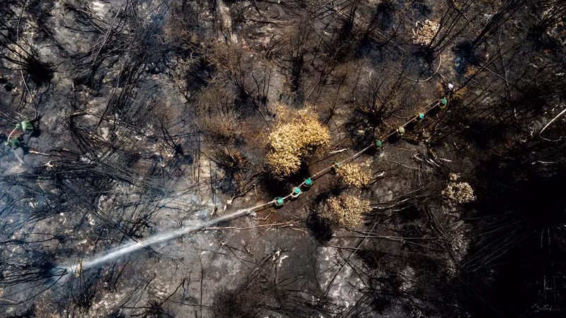 Các lực lượng tham gia chữa cháy.