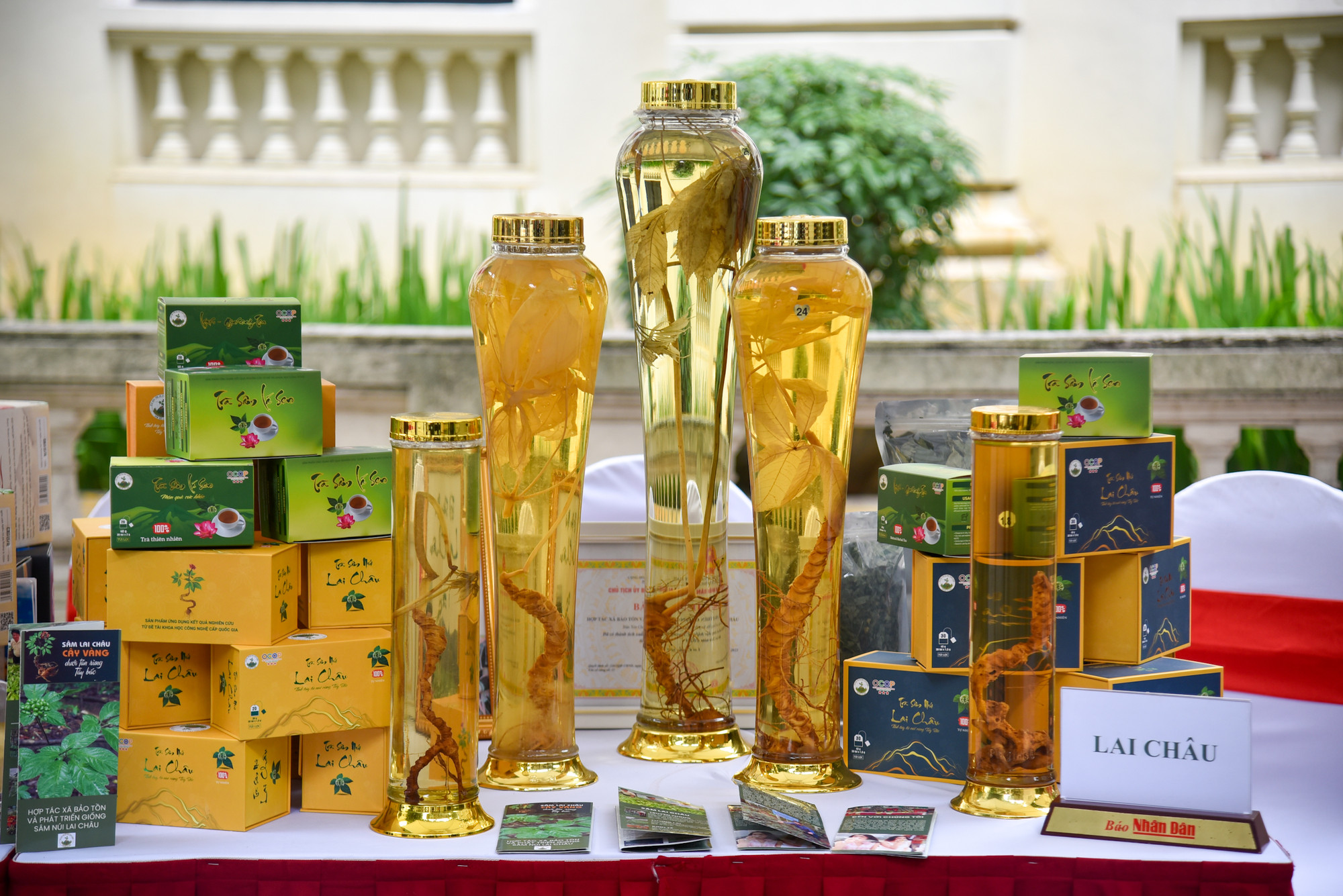 Sản phẩm Trà sâm lá sen của tỉnh Lai Châu.