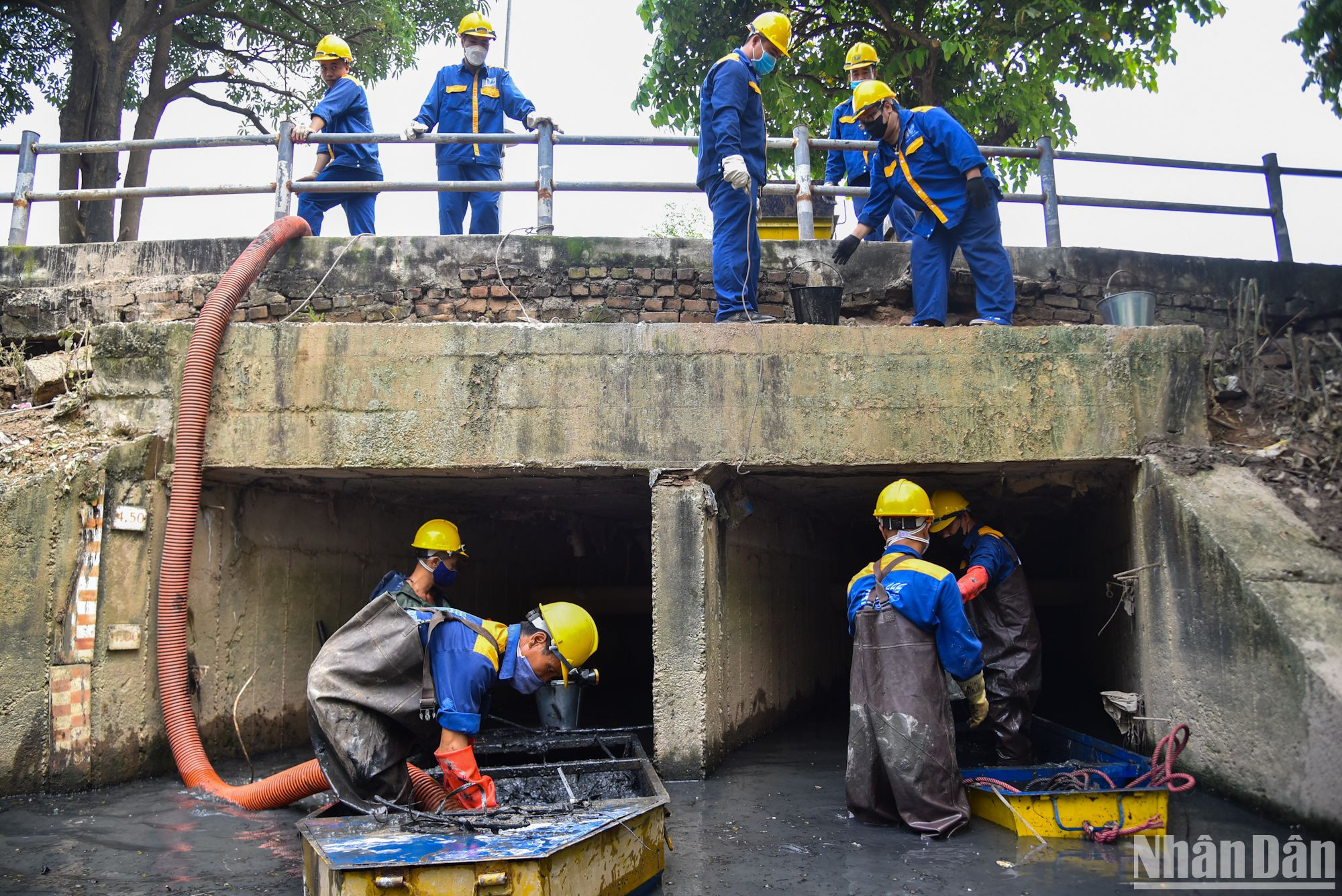 8 giờ sáng, các công nhân thuộc Xí nghiệp thoát nước số 2 và Xí nghiệp thoát nước số 8 (Công ty TNHH MTV Thoát nước Hà Nội) đã có mặt tại phố Văn Khê (Hà Đông, Hà Nội) để làm nhiệm vụ nạo vét đáy mương. 8 giờ sáng, các công nhân thuộc Xí nghiệp thoát nước số 2 và Xí nghiệp thoát nước số 8 (Công ty TNHH MTV Thoát nước Hà Nội) đã có mặt tại phố Văn Khê (Hà Đông, Hà Nội) để làm nhiệm vụ nạo vét đáy mương.