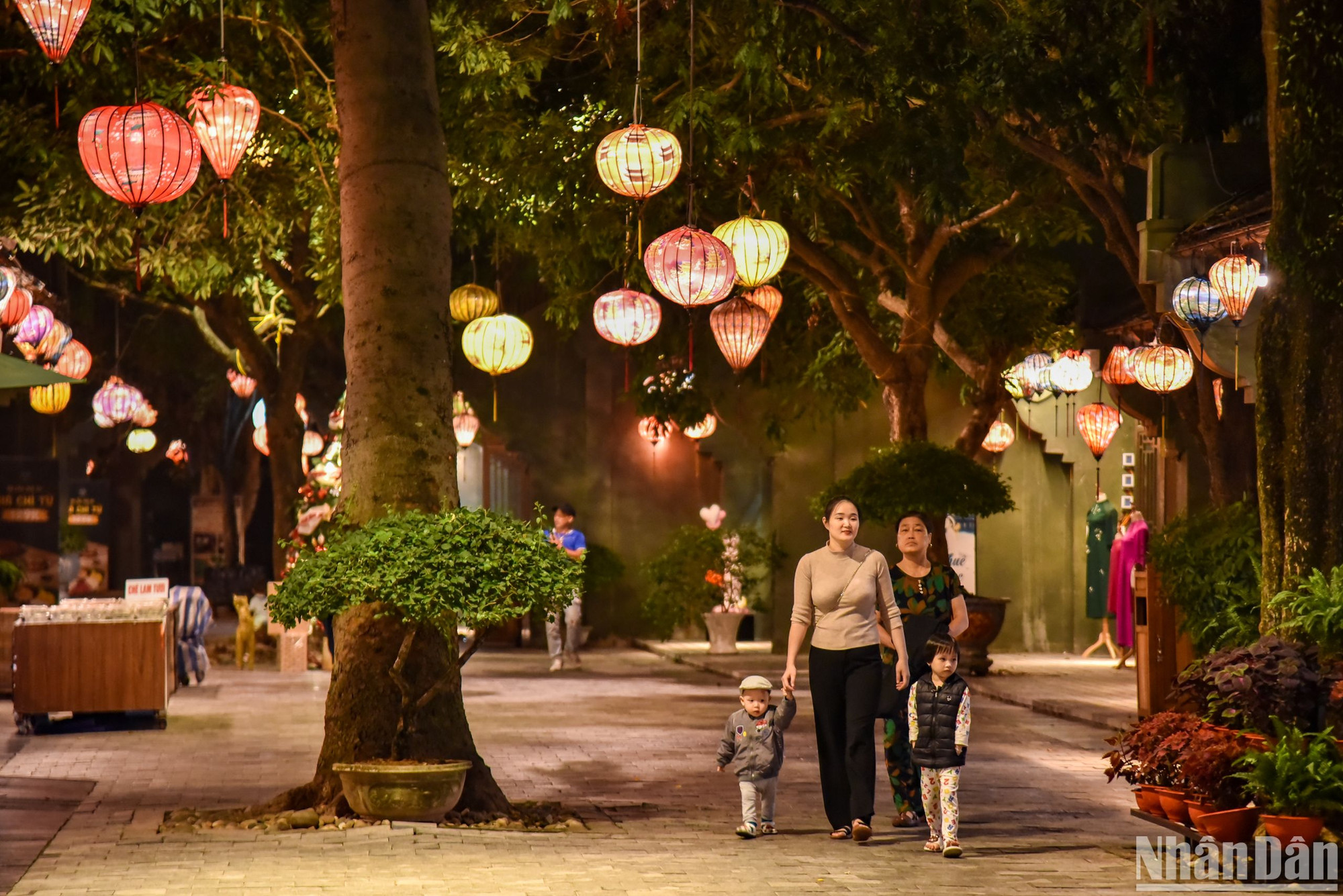 Phố cổ Hoa Lư được khánh thành ngày 27/1/2022. Công trình được xây dựng với mong muốn giới thiệu cho du khách về một không gian truyền thống của đời sống văn hóa xã hội, phong tục tập quán của người dân trên mọi miền đất nước và tái hiện lại lịch sử nước Đại Việt từ thế kỷ thứ X.