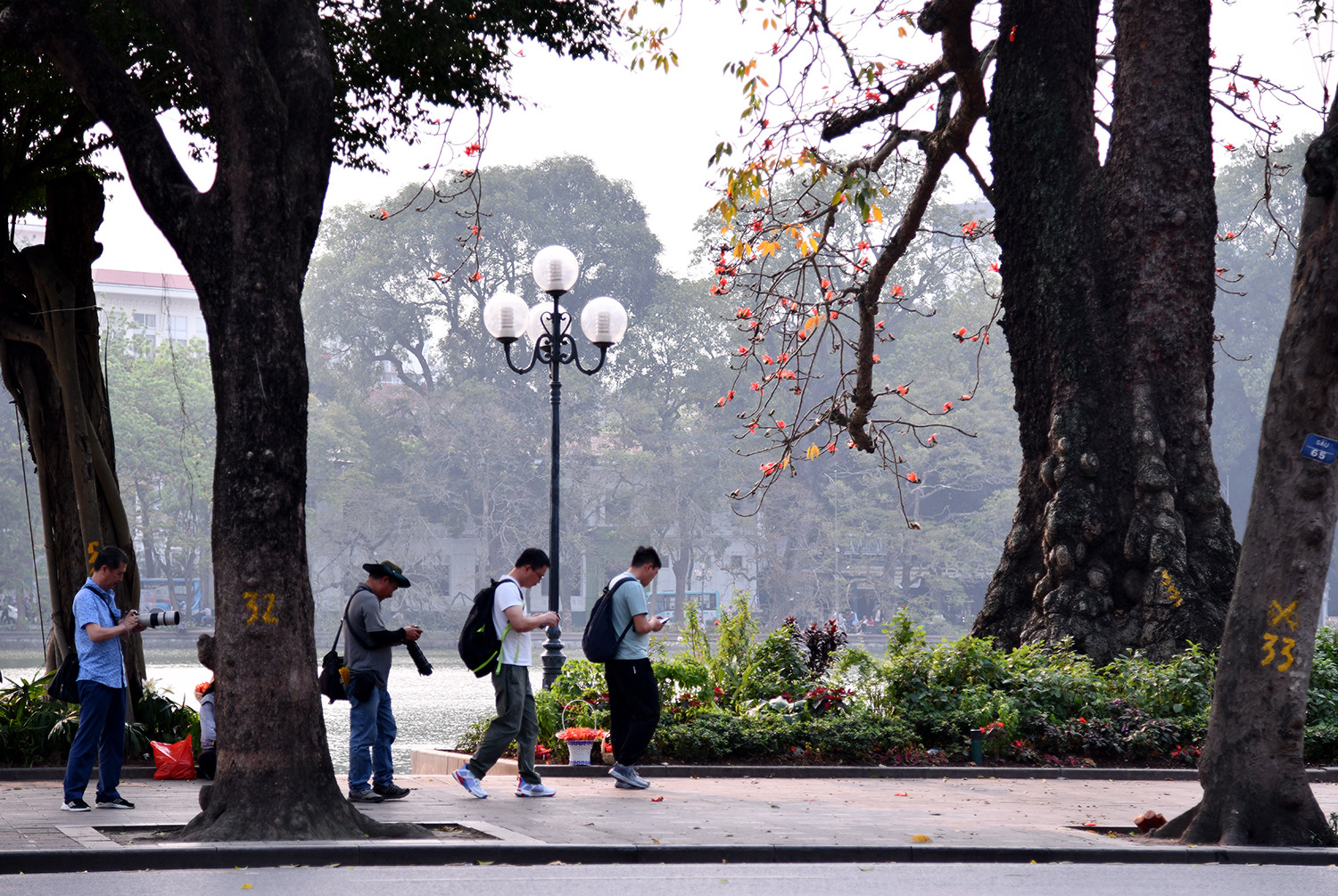 Từ góc làng xưa đến phố thị hôm nay, hoa gạo không chỉ nhuộm đỏ không gian mà còn thắp lên ký ức và những sắc thái tươi tắn của văn hóa Việt. Sắc đỏ ấy là nhịp cầu nối truyền thống với hiện đại, giữ gìn bản sắc quê hương giữa dòng chảy đời sống đô thị đang từng ngày chuyển mình. Từ góc làng xưa đến phố thị hôm nay, hoa gạo không chỉ nhuộm đỏ không gian mà còn thắp lên ký ức và những sắc thái tươi tắn của văn hóa Việt. Sắc đỏ ấy là nhịp cầu nối truyền thống với hiện đại, giữ gìn bản sắc quê hương giữa dòng chảy đời sống đô thị đang từng ngày chuyển mình.