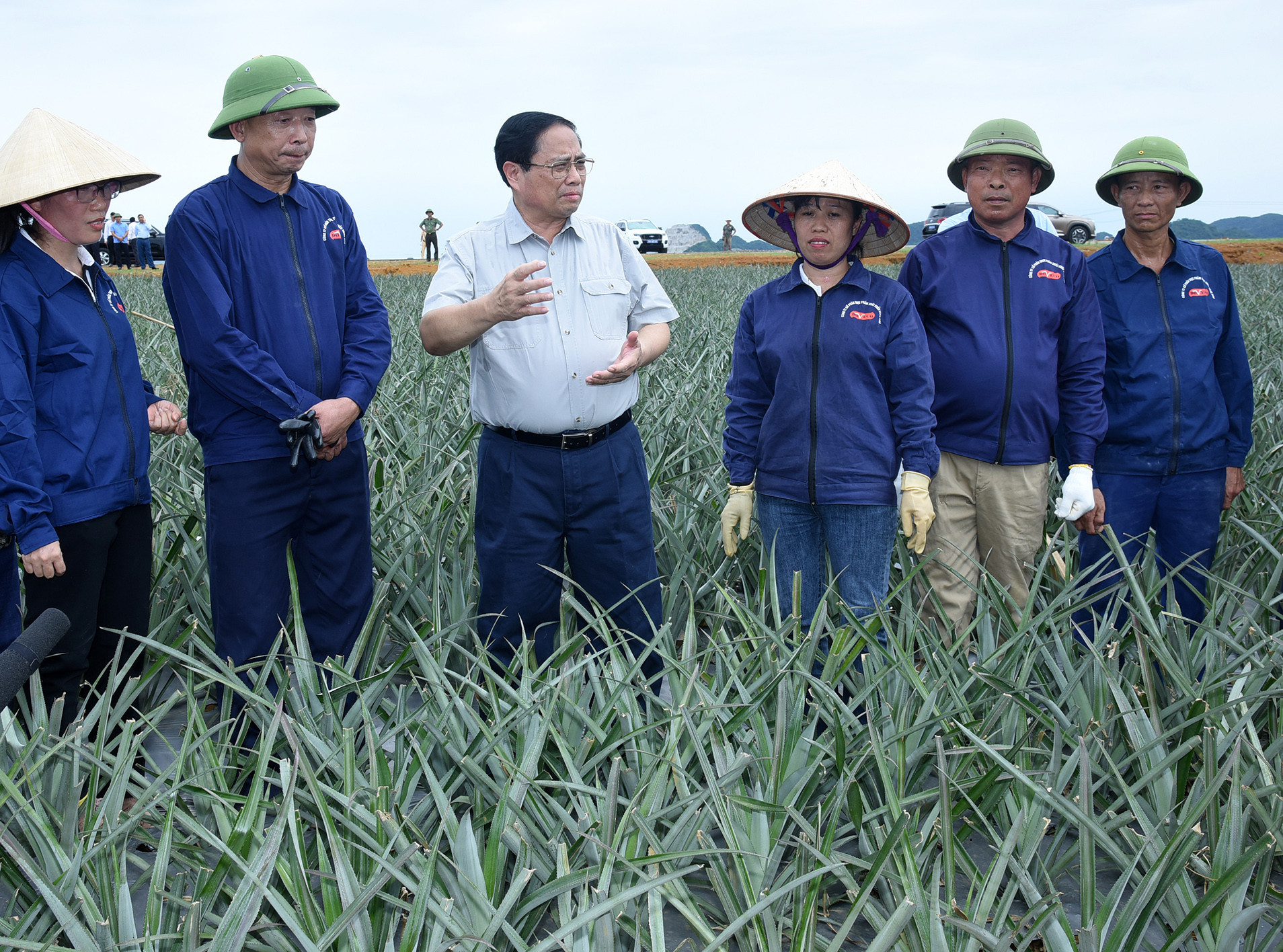 Thủ tướng Phạm Minh Chính thăm và động viên công nhân nông trường trồng dứa Đồng Giao.