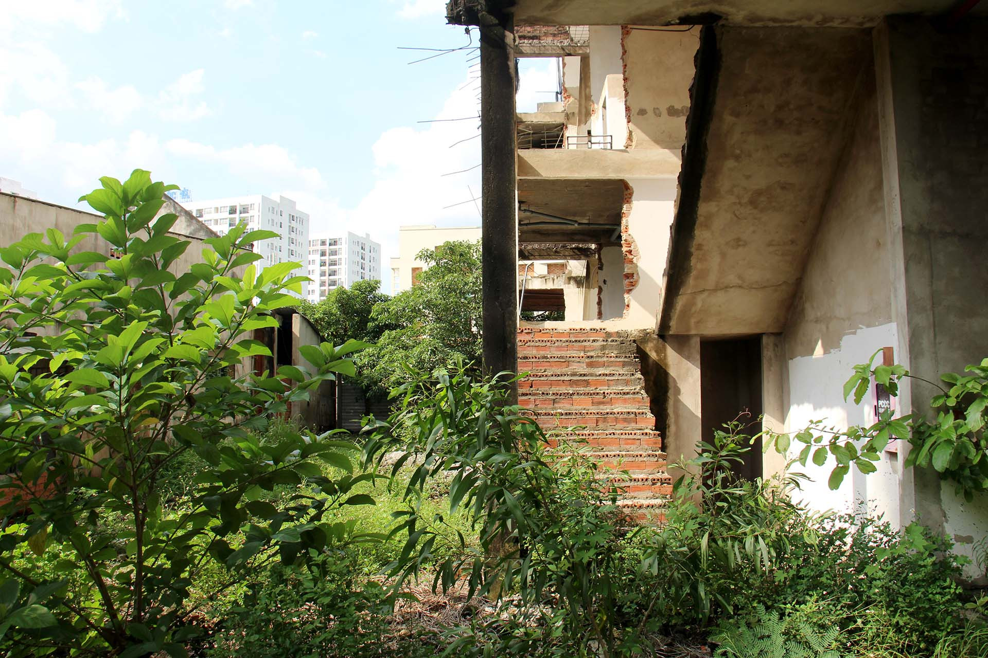 Các dãy nhà tầng trệt có hành lang rộng khoảng 1,5m, cây bụi mọc um tùm.