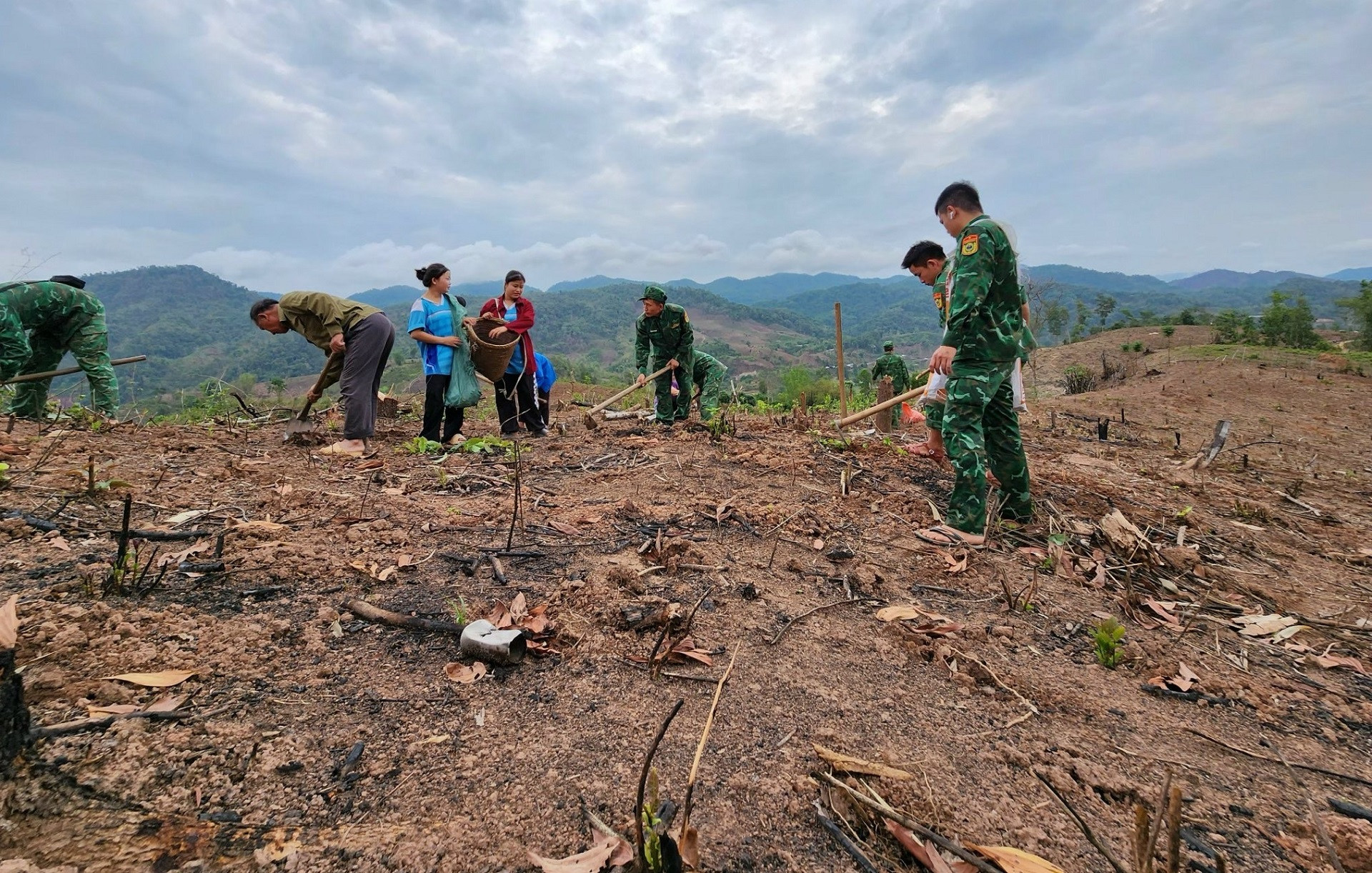 Cán bộ, chiến sĩ Bộ đội Biên phòng Điện Biên giúp nhân dân xã Mường Nhé, huyện Mường Nhé làm đất chuẩn bị sản xuất.