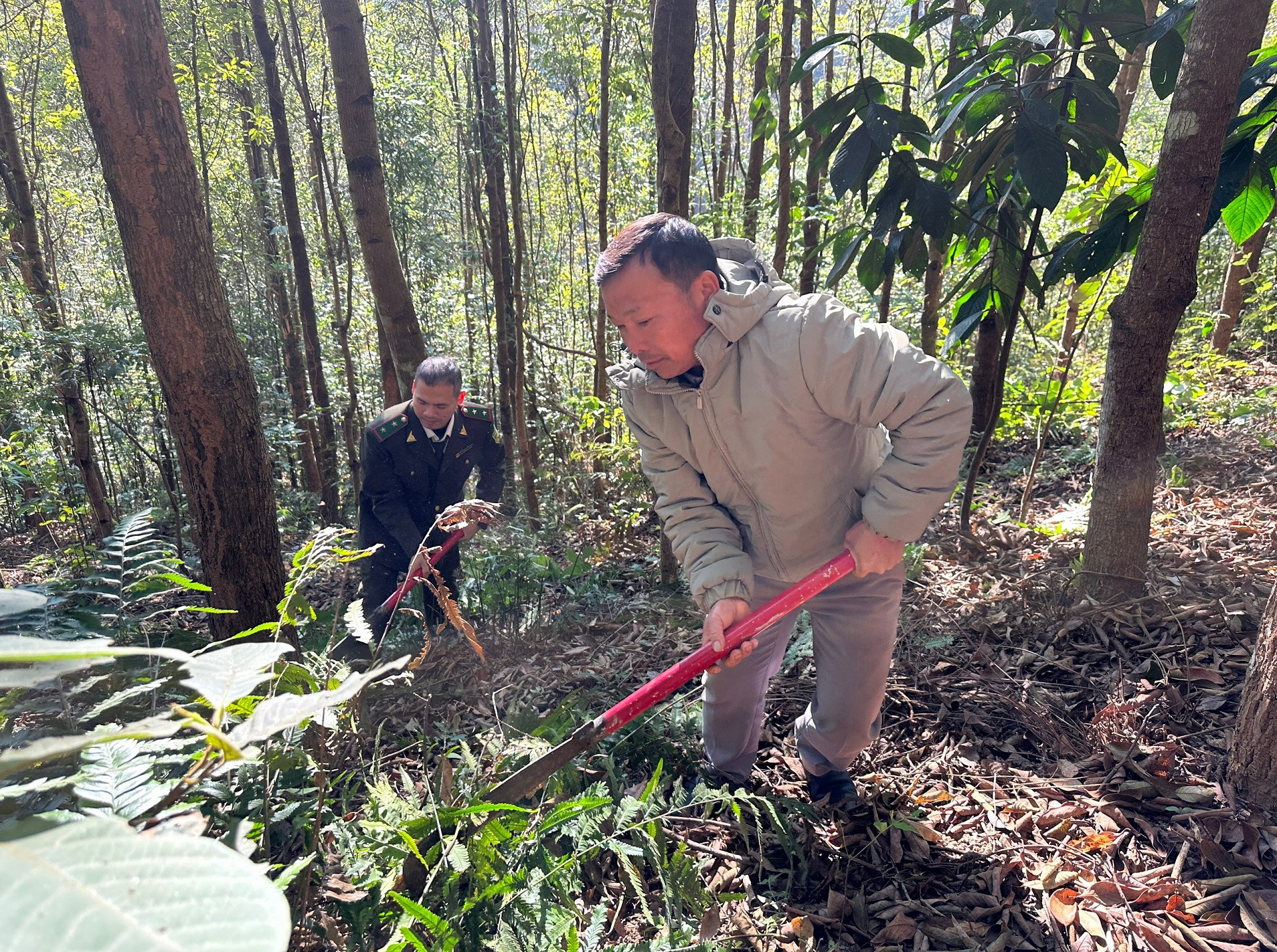 Người dân các xã vùng cao huyện Điện Biên Đông (tỉnh Điện Biên) phát quang cây bụi, chống cháy rừng.