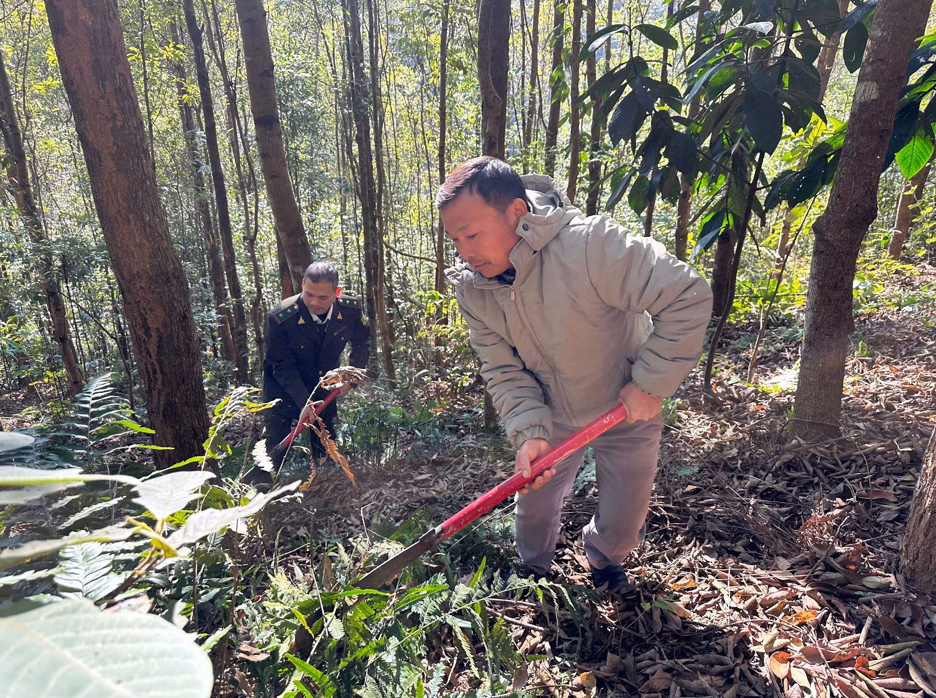 Người dân các xã vùng cao huyện Điện Biên Đông (tỉnh Điện Biên) phát quang cây bụi, chống cháy rừng.