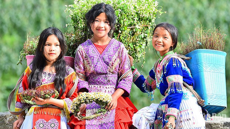 Không quá lời nếu nói rằng, những bé gái ở dốc Thẩm Mã, con đường đèo trên Quốc lộ 4C nối giữa thành phố Hà Giang và huyện Mèo Vạc như là biểu tượng của Hà Giang, của du lịch Hà Giang với những gùi hoa đầy màu sắc sau lưng. 