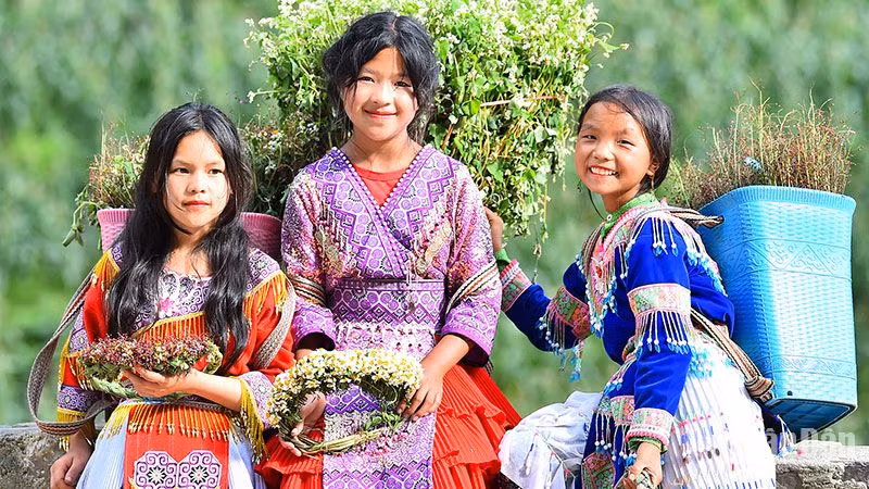 Không quá lời nếu nói rằng, những bé gái ở dốc Thẩm Mã, con đường đèo trên Quốc lộ 4C nối giữa thành phố Hà Giang và huyện Mèo Vạc như là biểu tượng của Hà Giang, của du lịch Hà Giang với những gùi hoa đầy màu sắc sau lưng. 