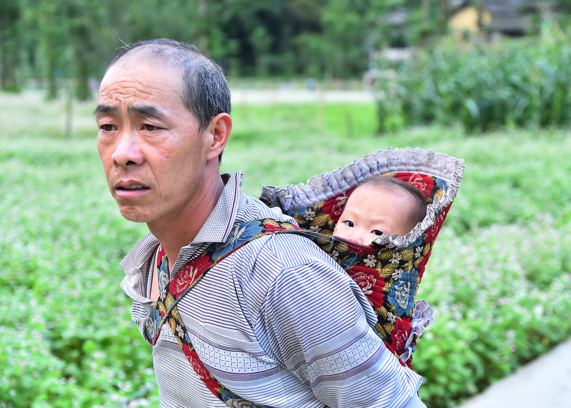 Hình ảnh mẹ địu con ra chợ hay lên nương đã quá quen thuộc ở nhiều nơi nhưng hình ảnh ông địu cháu như thế này thì rất hiếm gặp trên các cung đường quanh co, uốn lượn. Dù thế nào thì “Đi khắp thế gian không ai khổ bằng mẹ, gánh nặng cuộc đời không ai khổ bằng cha”, để thấy rằng, ông bà, cha mẹ luôn yêu thương, bao bọc và quan tâm đến chúng ta như thế nào.