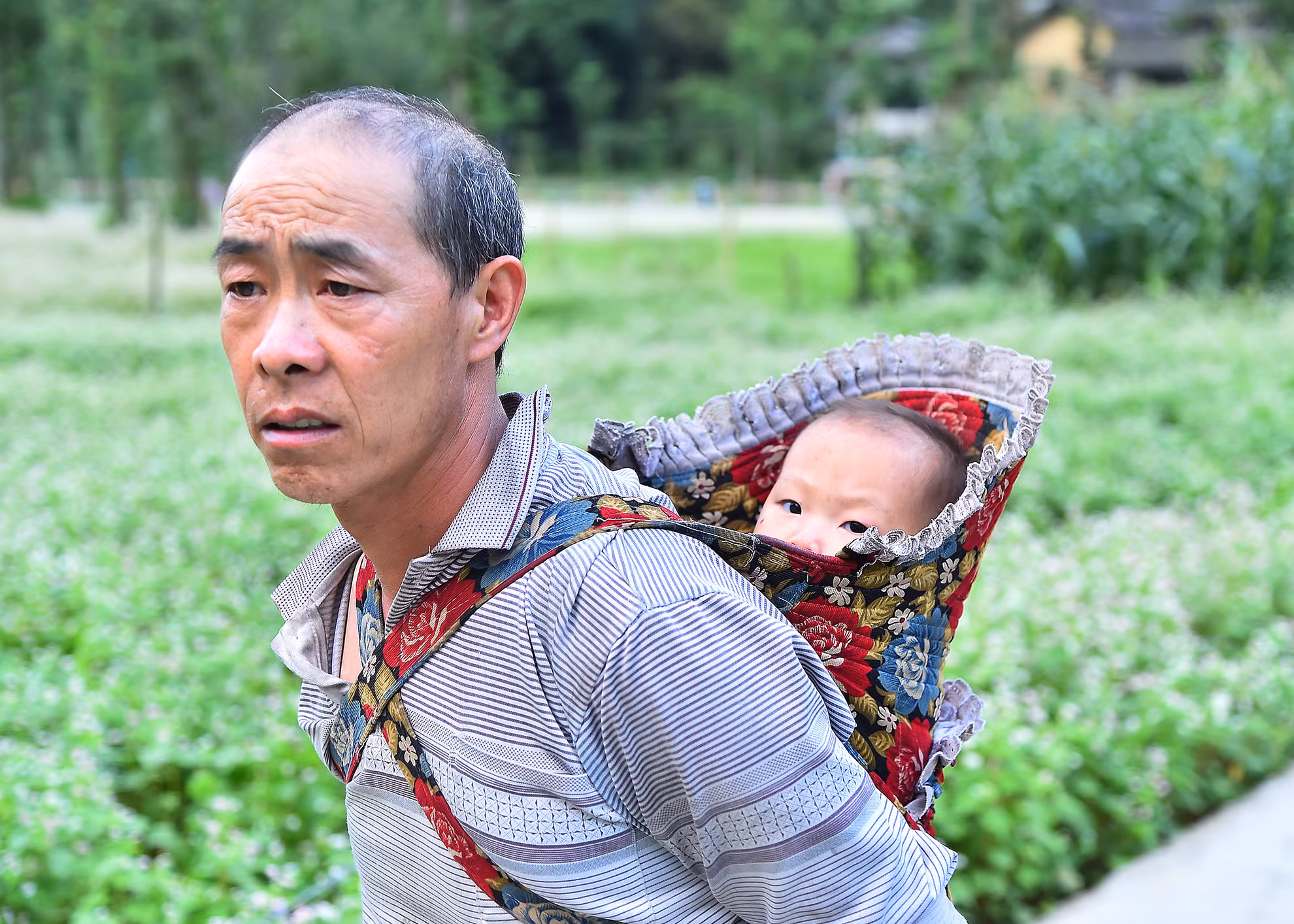 Hình ảnh mẹ địu con ra chợ hay lên nương đã quá quen thuộc ở nhiều nơi nhưng hình ảnh ông địu cháu như thế này thì rất hiếm gặp trên các cung đường quanh co, uốn lượn. Dù thế nào thì “Đi khắp thế gian không ai khổ bằng mẹ, gánh nặng cuộc đời không ai khổ bằng cha”, để thấy rằng, ông bà, cha mẹ luôn yêu thương, bao bọc và quan tâm đến chúng ta như thế nào.