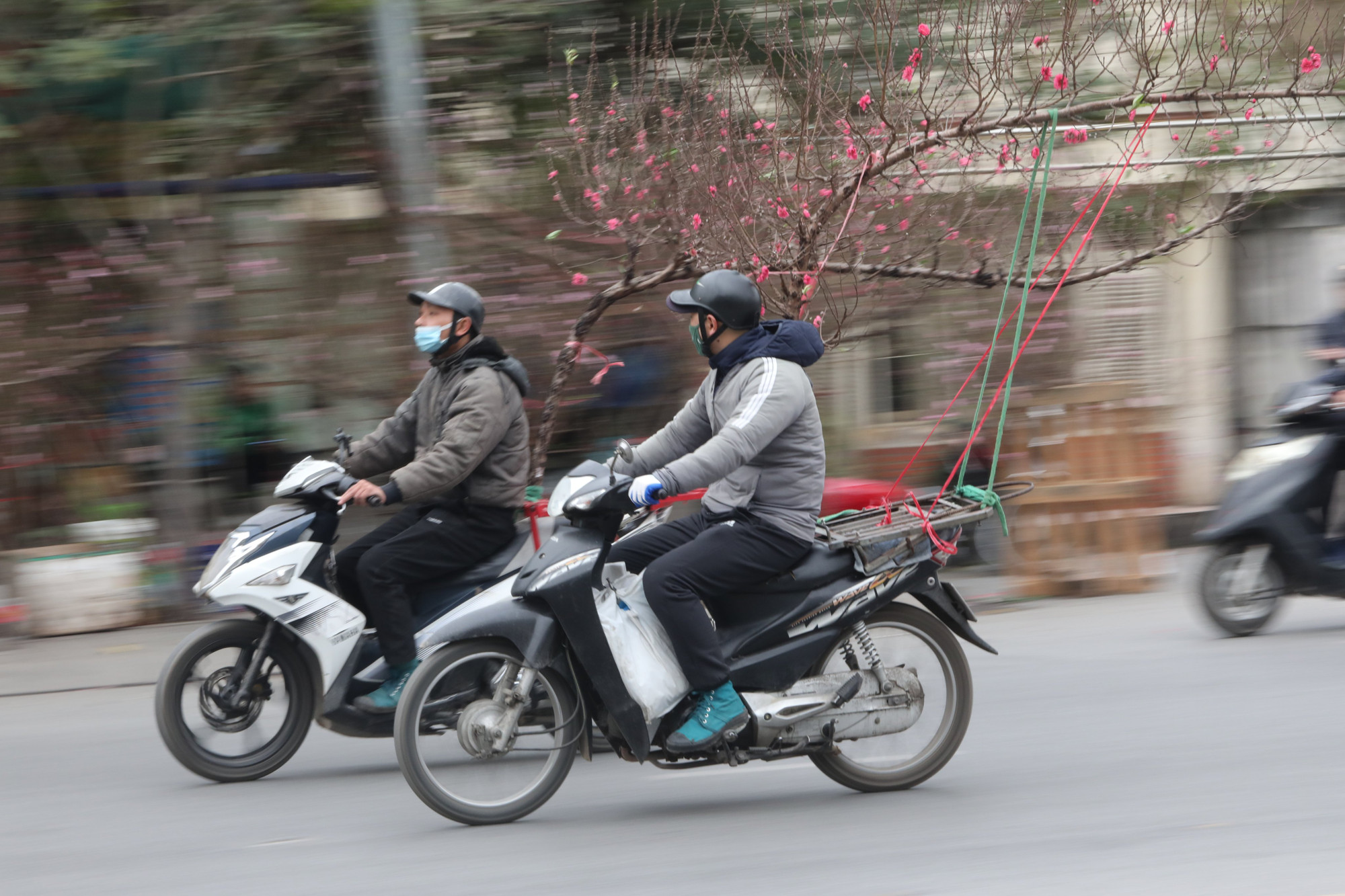 Mang mùa xuân về nhà. (Ảnh: KHIẾU MINH) Mang mùa xuân về nhà. (Ảnh: KHIẾU MINH)