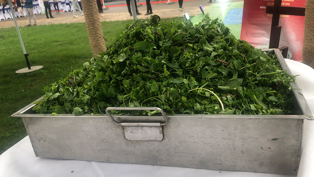 Rau gia vị của phở.