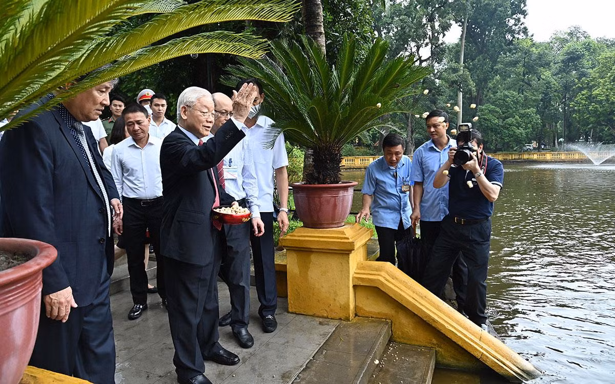 Tổng Bí thư Nguyễn Phú Trọng cho cá ăn tại ao cá Bác Hồ trong Khu Di tích Chủ tịch Hồ Chí Minh tại Phủ Chủ tịch.