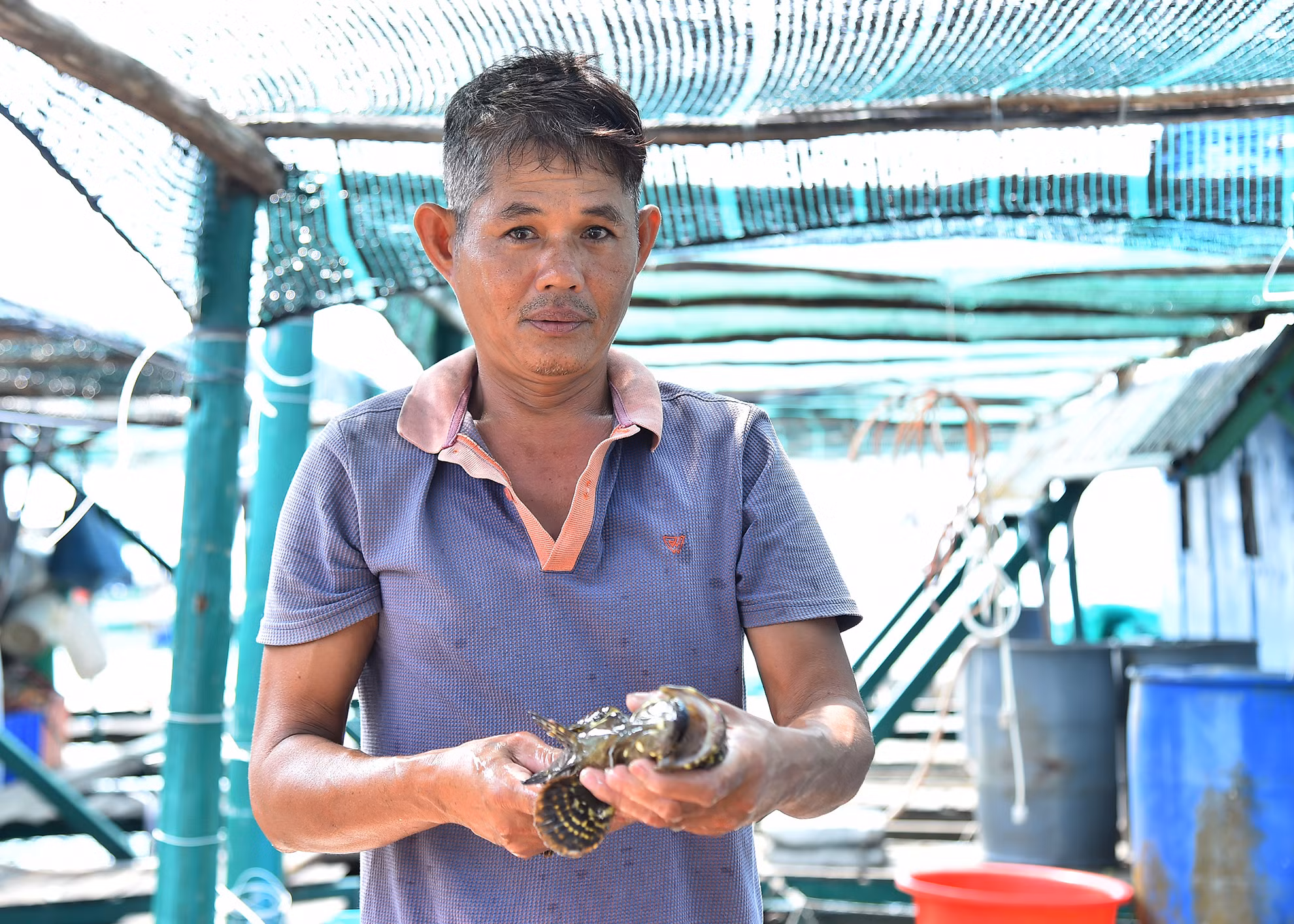 Ông Huỳnh Phước, chia sẻ: Tôi có 20 năm làm nghề thủy sản nhưng từ khi chuyển sang nuôi cá lồng bè cách đây hơn 5 năm, cuộc sống của tôi cũng như người dân trên xã đảo này bớt khó khăn nhiều, có điều kiện vươn lên làm giàu và thu hút ngày càng nhiều khách du lịch đến tham quan.