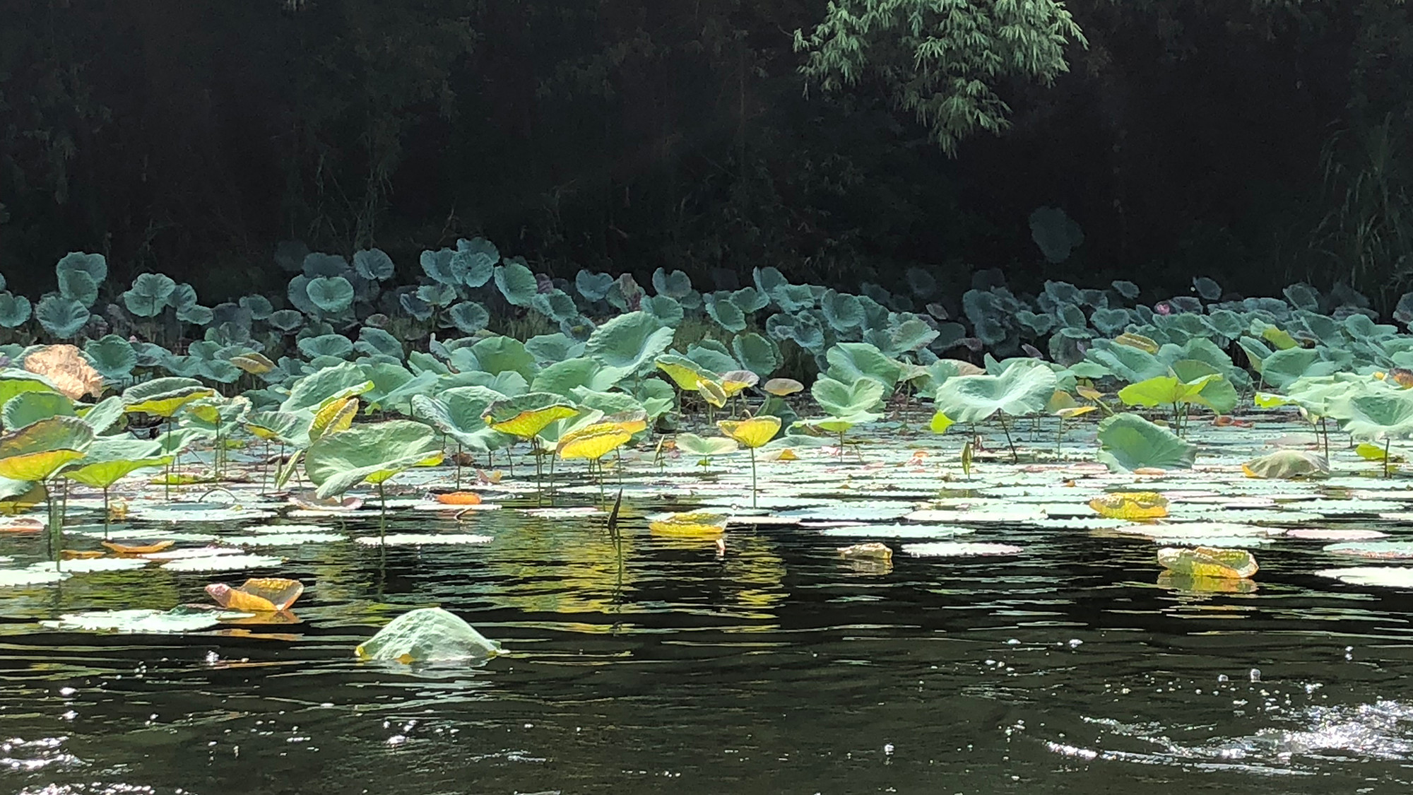 Đưa Ninh Bình trở thành trường quay quy mô lớn ảnh 1