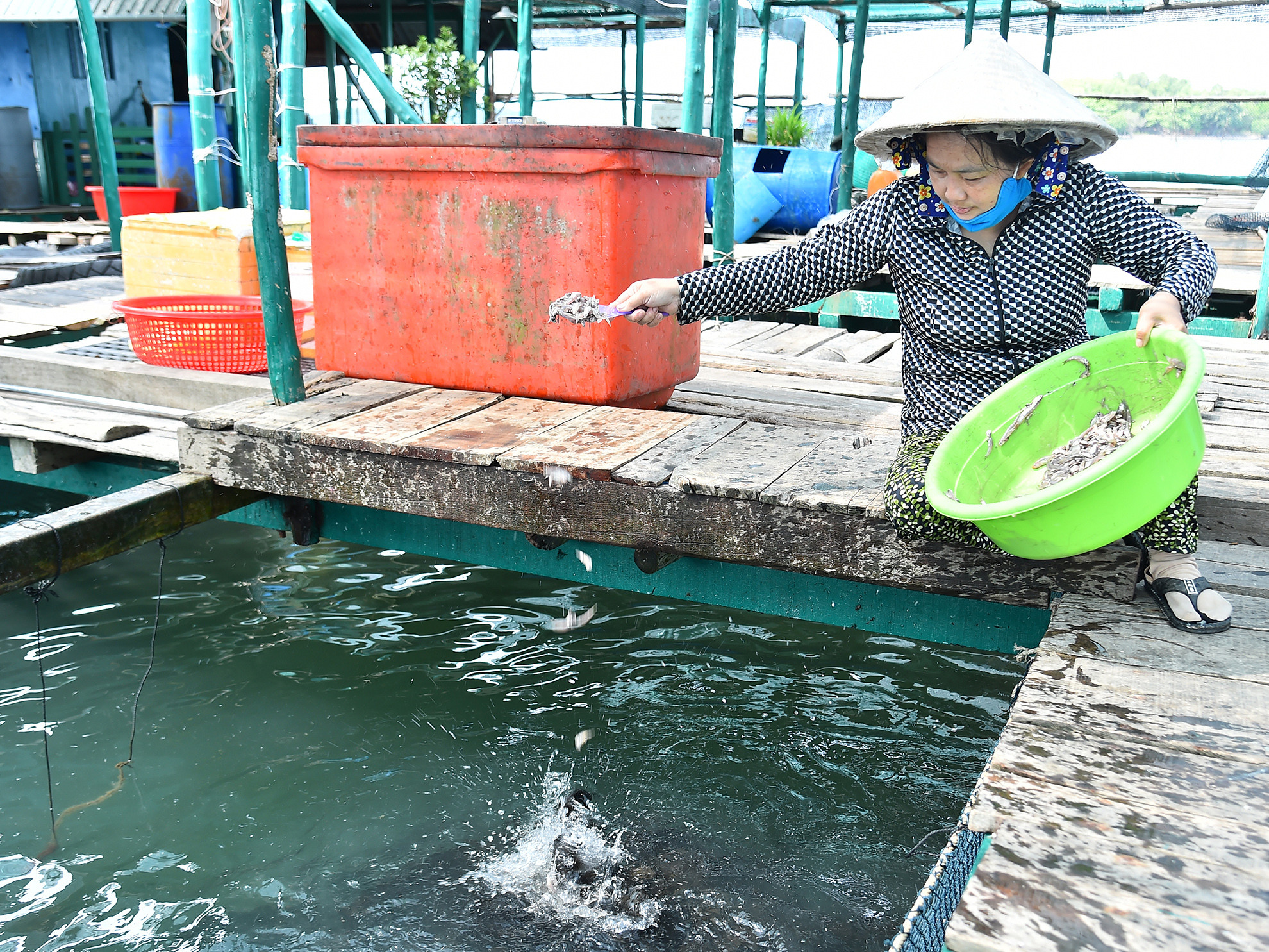 Toàn xã Tiên Hải hiện có khoảng 100 hộ dân nuôi hơn 108 lồng bè, nuôi chủ yếu các loại cá: bống mú, cá bớp, cá chim, cá chẽm. Tổng sản lượng thu hoạch cá các loại khoảng gần 600 tấn/năm.