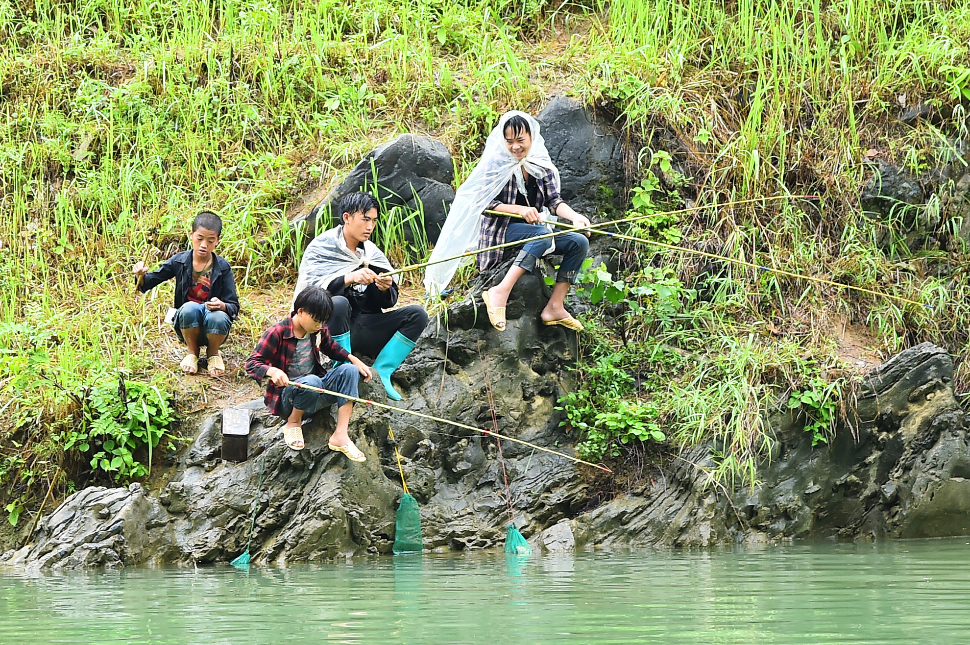 Người lái thuyền trên dòng sông Nho Quế kể nhiều về những con cá chiên khổng lồ từng xuất hiện tại đây, một phần phụ lưu của sông Gâm, đi qua các huyện Đồng Văn và Mèo Vạc. Hình ảnh các cậu bé câu cá bên bờ vào sáng sớm, giữa lúc trời mưa, có gì đó rất lãng mạn và yên bình của hương sắc nơi đây.