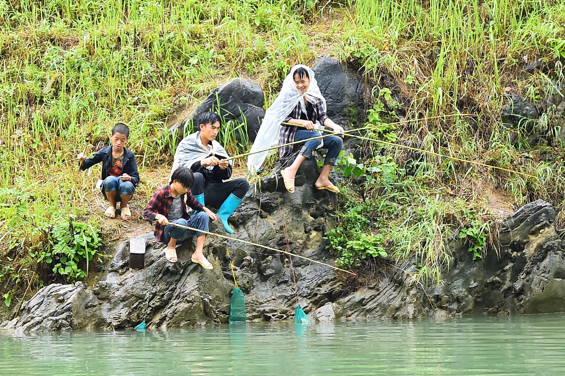 Người lái thuyền trên dòng sông Nho Quế kể nhiều về những con cá chiên khổng lồ từng xuất hiện tại đây, một phần phụ lưu của sông Gâm, đi qua các huyện Đồng Văn và Mèo Vạc. Hình ảnh các cậu bé câu cá bên bờ vào sáng sớm, giữa lúc trời mưa, có gì đó rất lãng mạn và yên bình của hương sắc nơi đây.