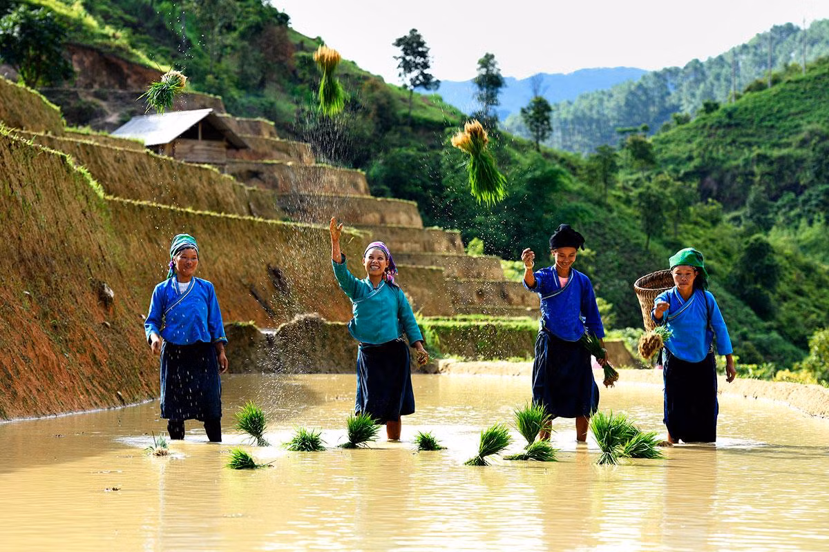 Phụ nữ dân tộc Nùng. (Ảnh: TRẦN THÀNH ĐẠT)