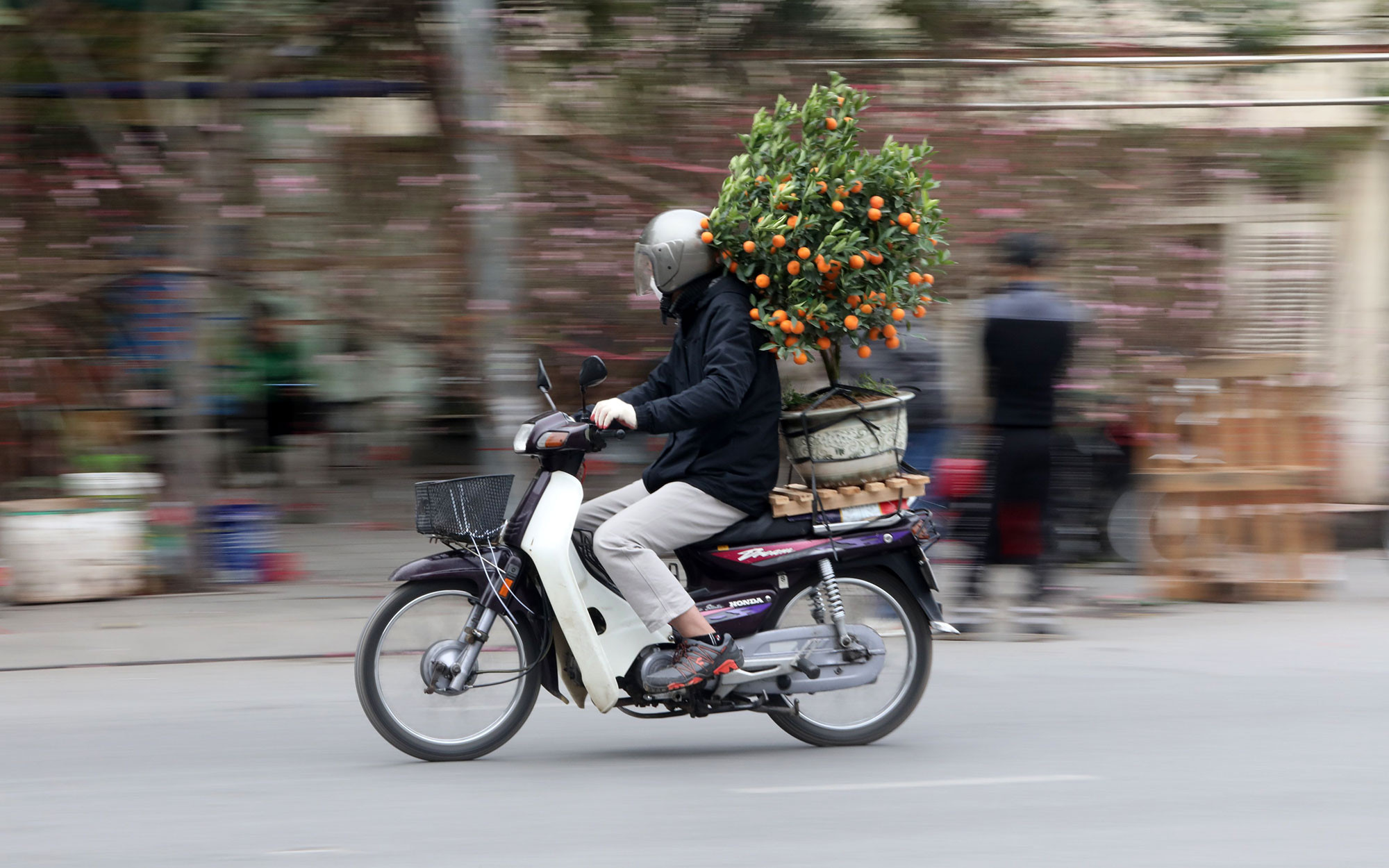 (Ảnh: KHIẾU MINH) (Ảnh: KHIẾU MINH)