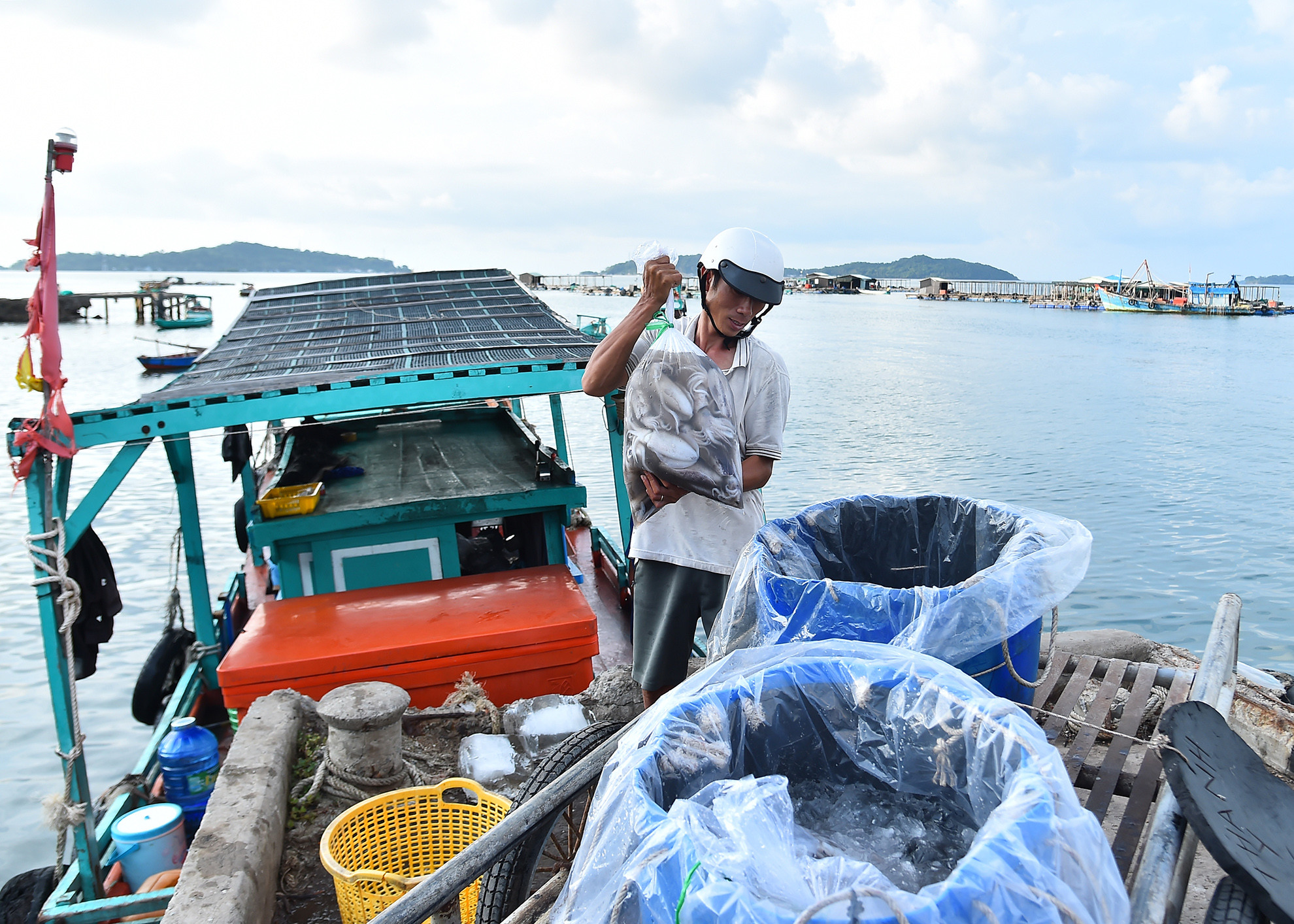 Hiện nay, phần lớn người dân nơi đây sống bằng nghề đánh bắt thủy sản và nuôi cá lồng bè. Mỗi sáng sớm chỉ cần đi bộ ra cầu cảng cũ, là có thể được chứng kiến cảnh mua bán tấp nập. Với những ghe thuyền đầy ắp tôm, cá và các loại hải sản tươi ngon.