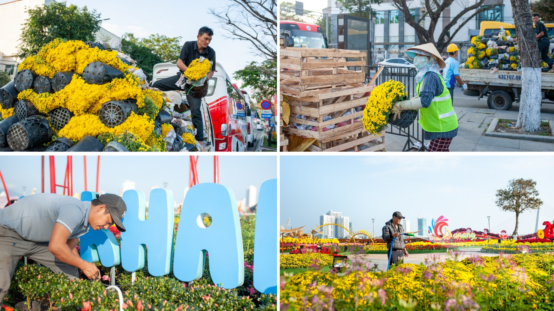 Để kịp thời mở cửa đón khách, các công nhân thi công đường hoa Bạch Đằng cũng đang tất bật làm việc.