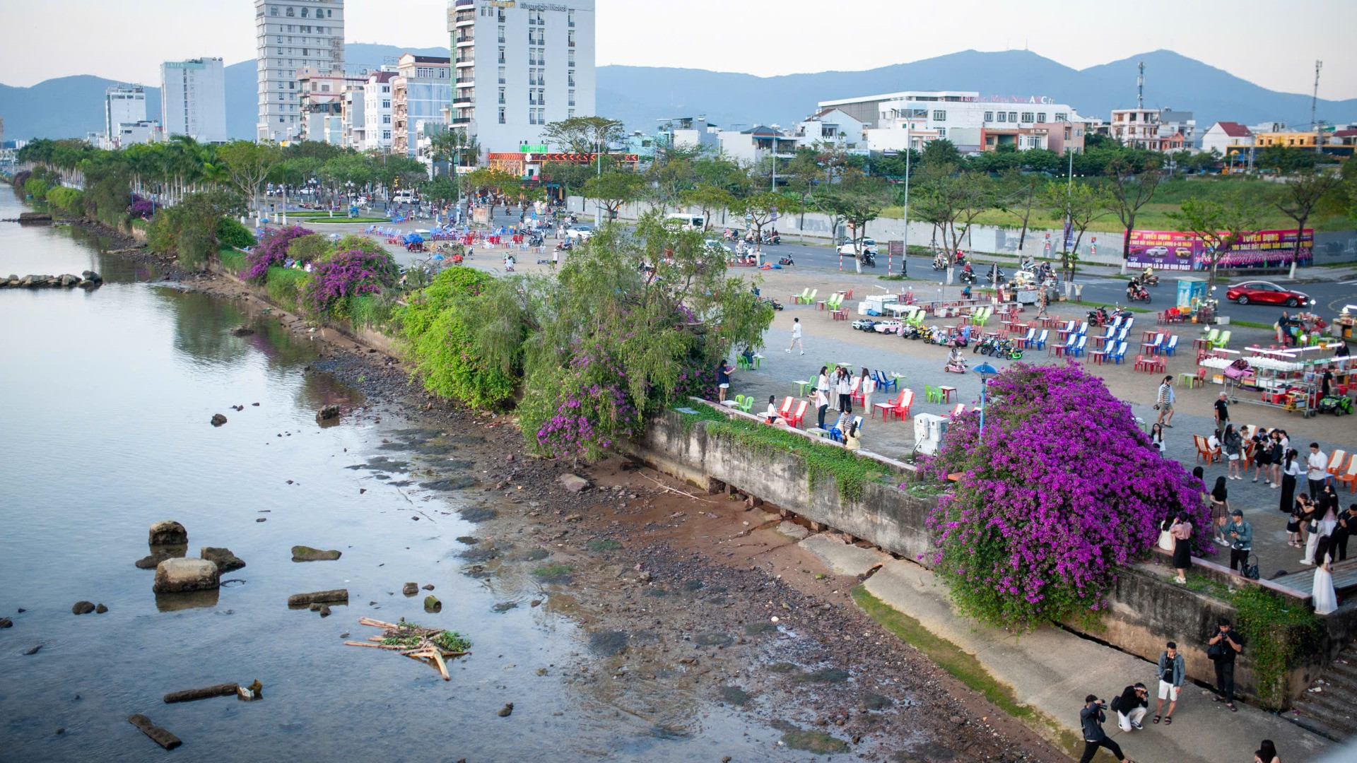 Cứ khoảng 17 giờ chiều, khi những ánh nắng cuối ngày bắt đầu chiếu xuống, giới trẻ Đà Nẵng lại nô nức đổ về phía bờ đông sông Hàn trải nghiệm không gian rực rỡ sắc màu của những cây hoa giấy. Cứ khoảng 17 giờ chiều, khi những ánh nắng cuối ngày bắt đầu chiếu xuống, giới trẻ Đà Nẵng lại nô nức đổ về phía bờ đông sông Hàn trải nghiệm không gian rực rỡ sắc màu của những cây hoa giấy.
