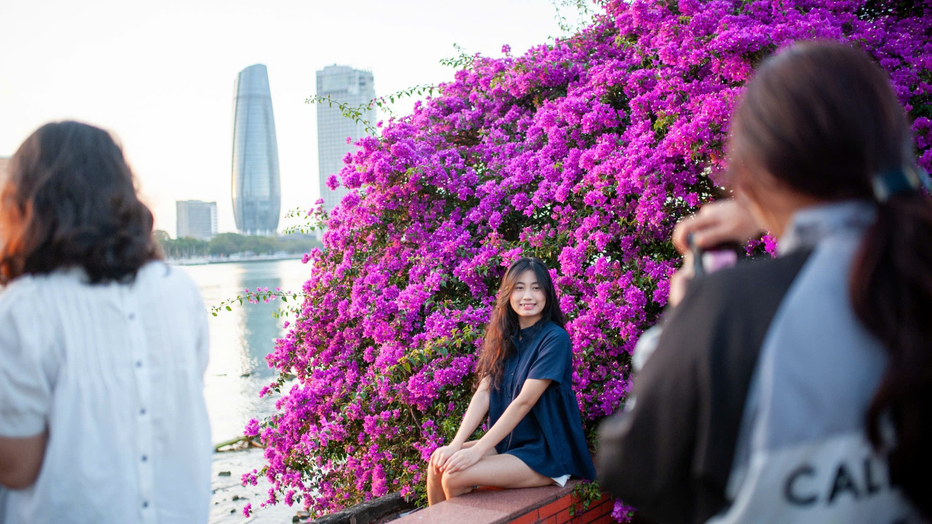 Những cây hoa giấy tại bờ đông sông Hàn đang gây sốt với nhiều bạn trẻ. Những cây hoa giấy tại bờ đông sông Hàn đang gây sốt với nhiều bạn trẻ.