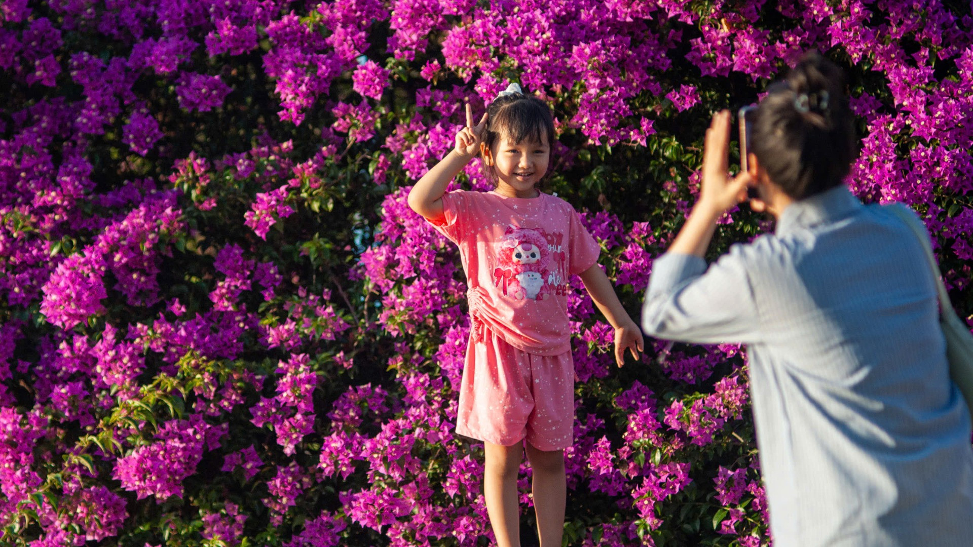 Theo người dân quanh đây, những cây hoa giấy đã được trồng từ lâu, trở thành một phần quen thuộc của cảnh quan sông Hàn vào mỗi tháng 3. Theo người dân quanh đây, những cây hoa giấy đã được trồng từ lâu, trở thành một phần quen thuộc của cảnh quan sông Hàn vào mỗi tháng 3.