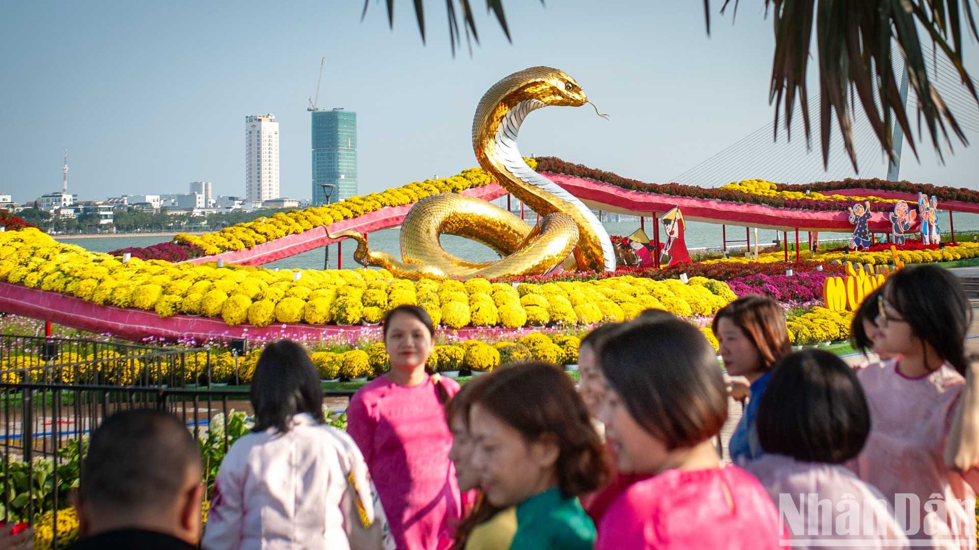 Màu vàng óng của lớp vảy rắn bắt mắt và nổi bật dưới ánh nắng giúp thu hút sự chú ý của người xem.