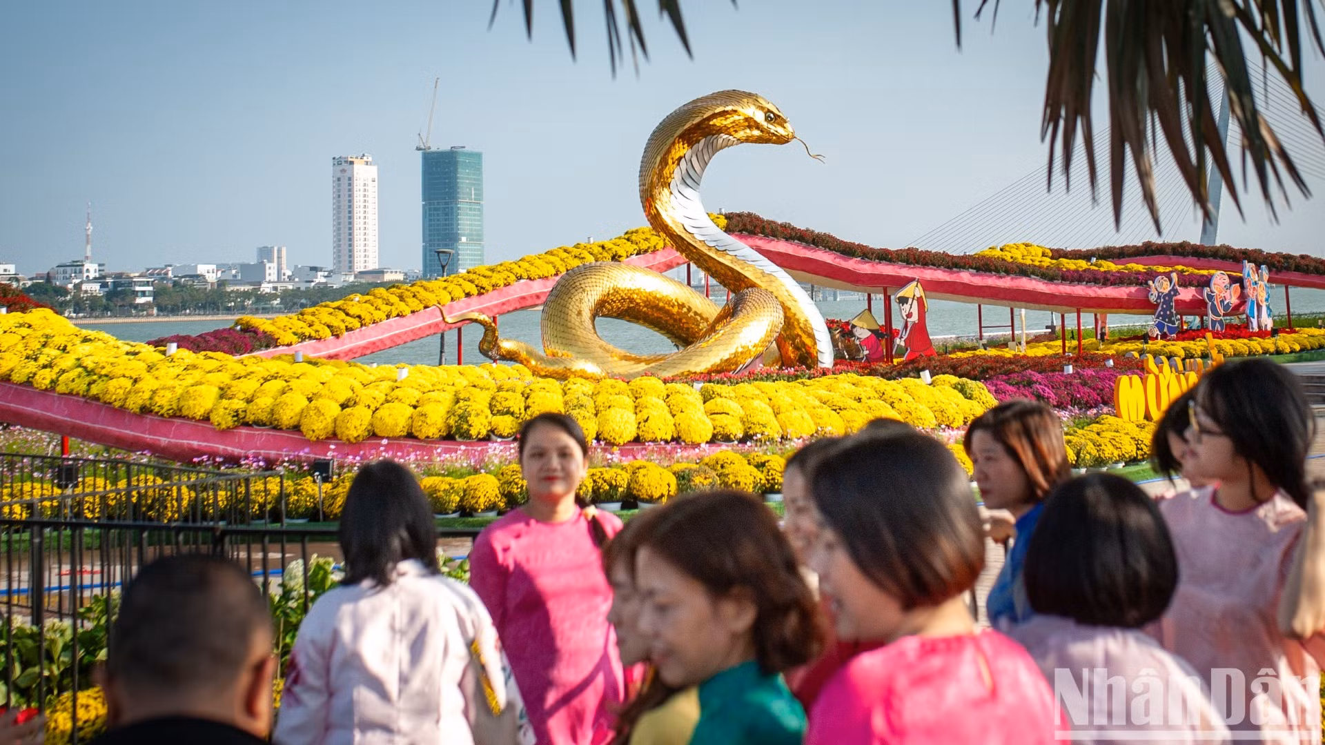 Màu vàng óng của lớp vảy rắn bắt mắt và nổi bật dưới ánh nắng giúp thu hút sự chú ý của người xem.