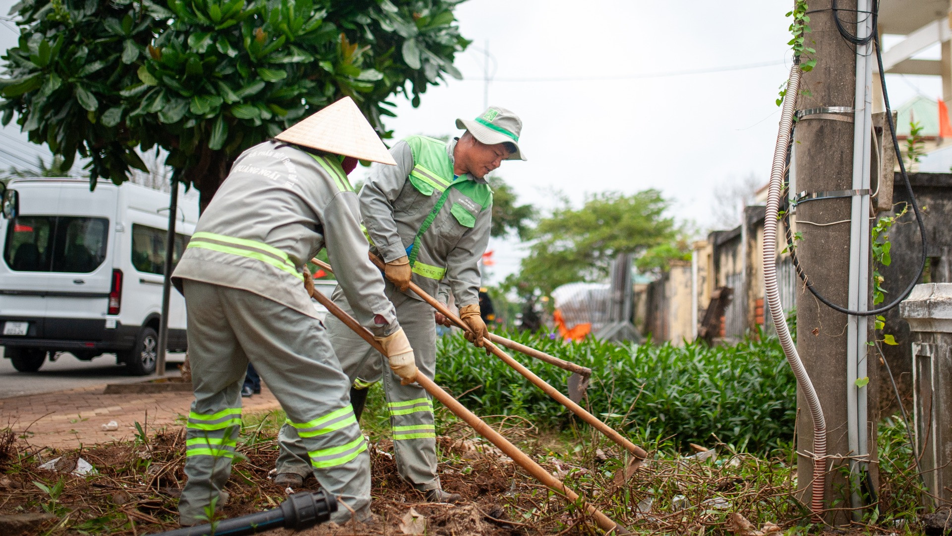 Để chuẩn bị cho những ngày Tết trên đảo Lý Sơn thêm tươi đẹp, các công nhân môi trường cũng đang tất bật với công việc trang hoàng đường phố. Theo họ, cây bàng vuông là một trong những nét đặc trưng của cảnh quan nơi đây.