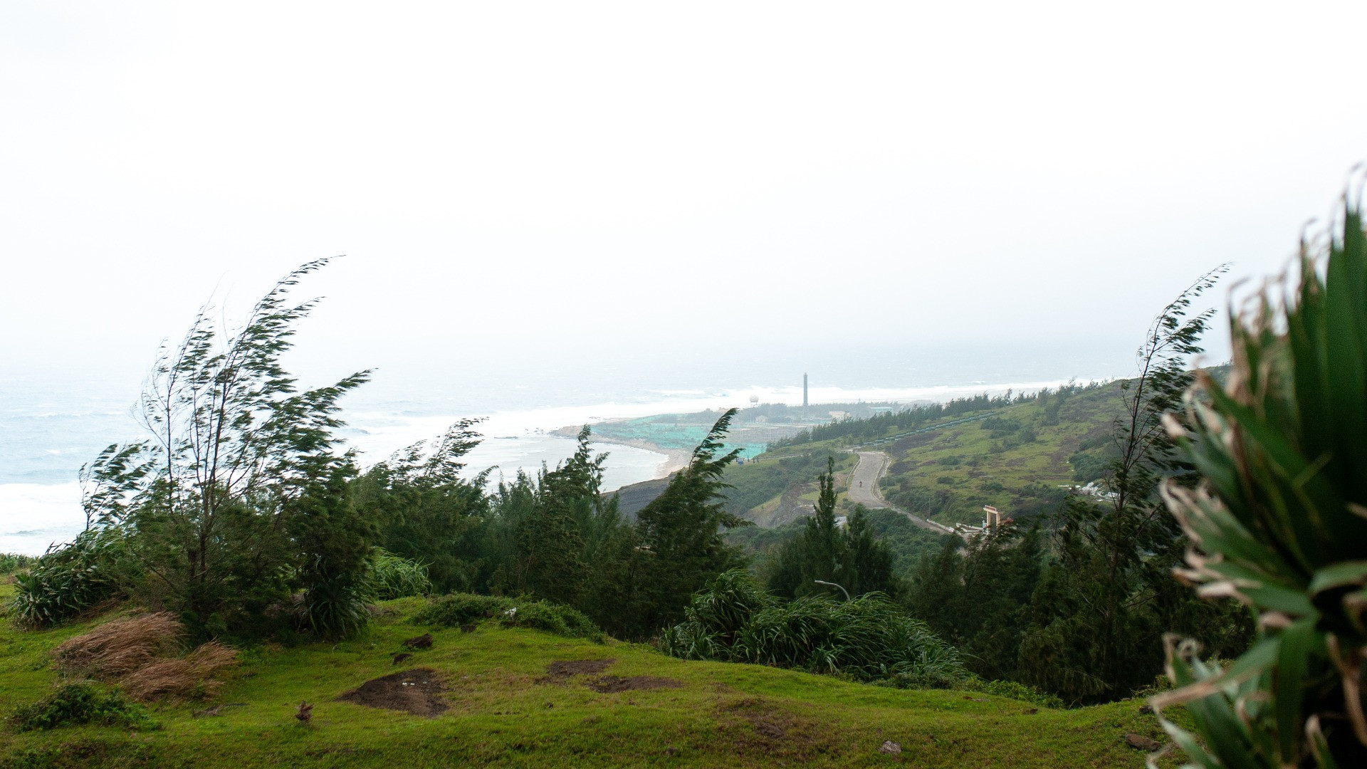 Lý Sơn tươi đẹp trong tiết trời mùa xuân.