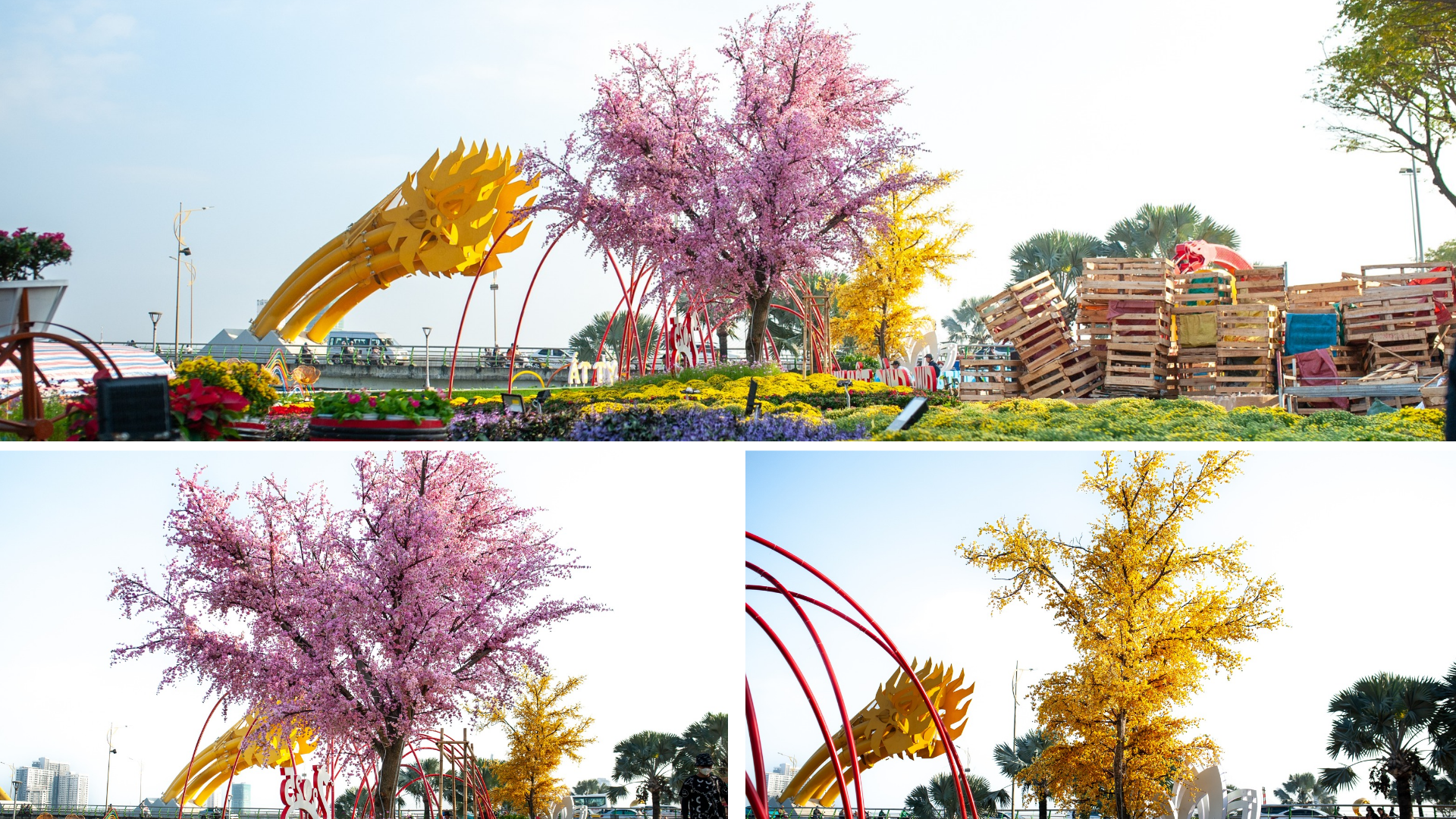 Tại phía bắc đuôi cầu Rồng, không gian cũng được thiết kế rất đặc sắc với hai cây mai và đào rực rỡ.