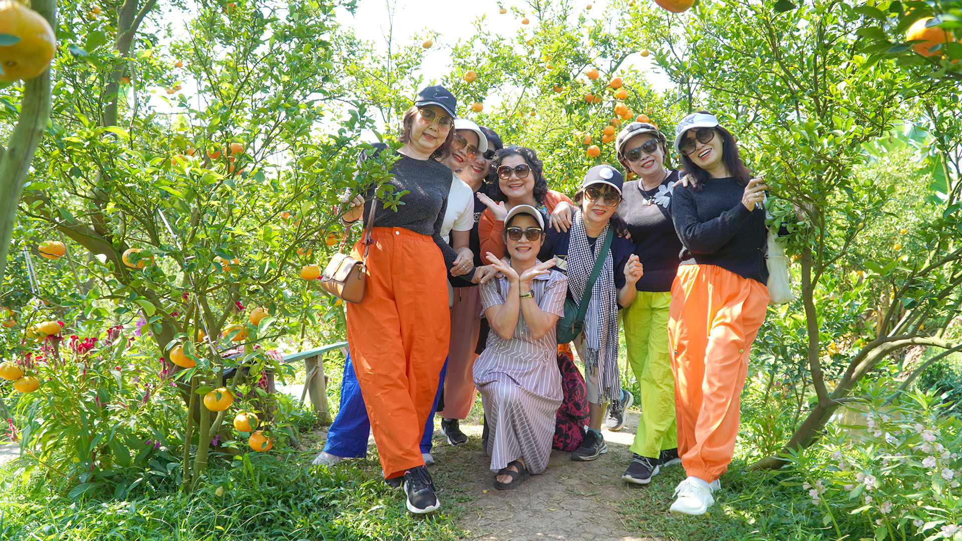 Du khách tham quan vườn quýt hồng của nông dân Đoàn Anh Kiệt.