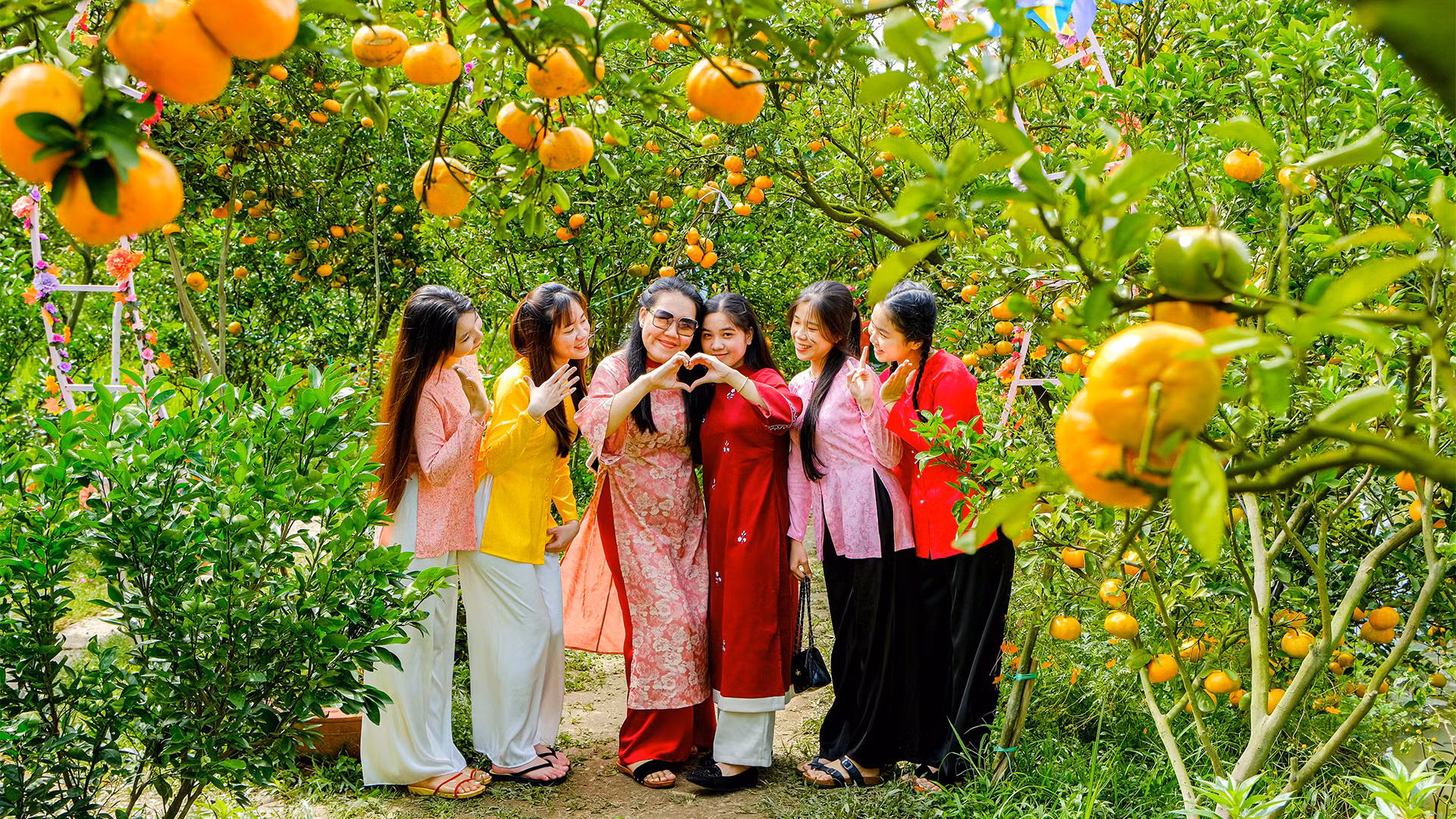 Những ngày qua, có ngày một điểm tham quan vườn quýt hồng phục vụ từ 200 đến 300 lượt khách.