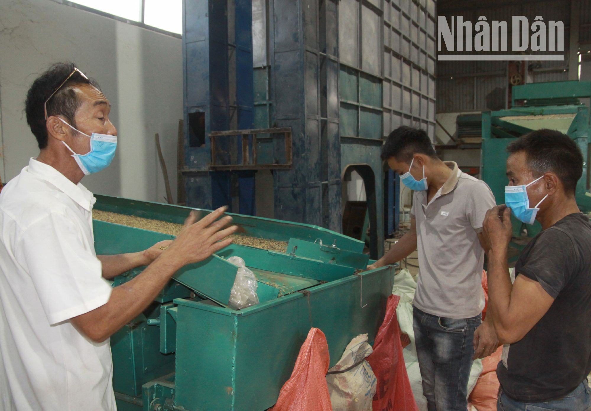 Hợp tác xã cà-phê Bích Thao đã ứng dụng nhiều máy móc với dây chuyền hiện đại trong sản xuất, chế biến sản phẩm cà phê theo hướng hữu cơ.