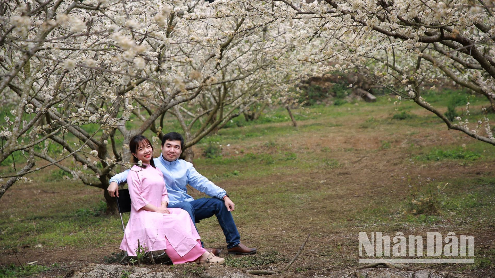 Đồng bào dân tộc Sơn La coi mùa hoa mận là một trong những mùa hoa đẹp của tình yêu đôi lứa với những lời yêu thương ngọt ngào và trong trẻo.