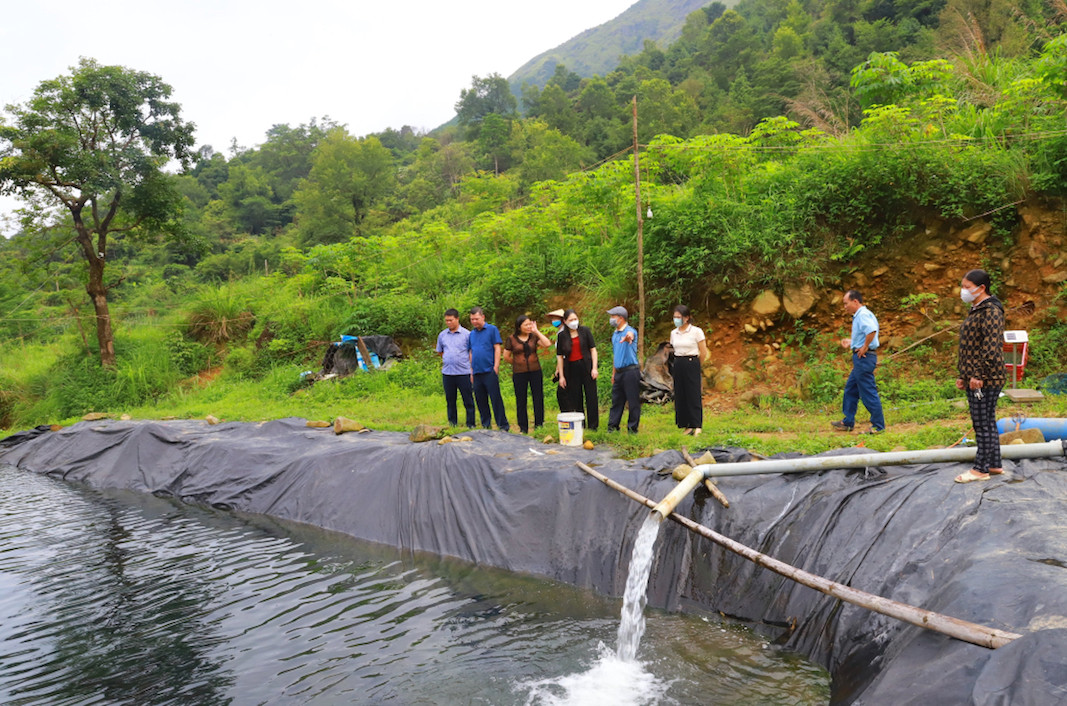 Mô hình nuôi cá tầm ở xã vùng cao, huyện miền núi Bình Liêu, tỉnh Quảng Ninh.