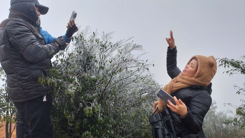 Băng giá xuất hiện tại một số đỉnh núi cao của huyện Bình Liêu, Quảng Ninh.