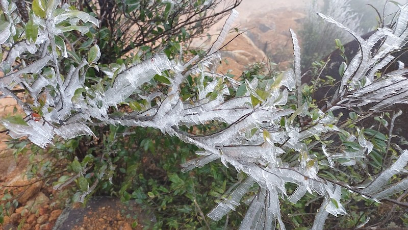 Băng giá xuất hiện tại một số đỉnh núi cao của huyện Bình Liêu, Quảng Ninh.